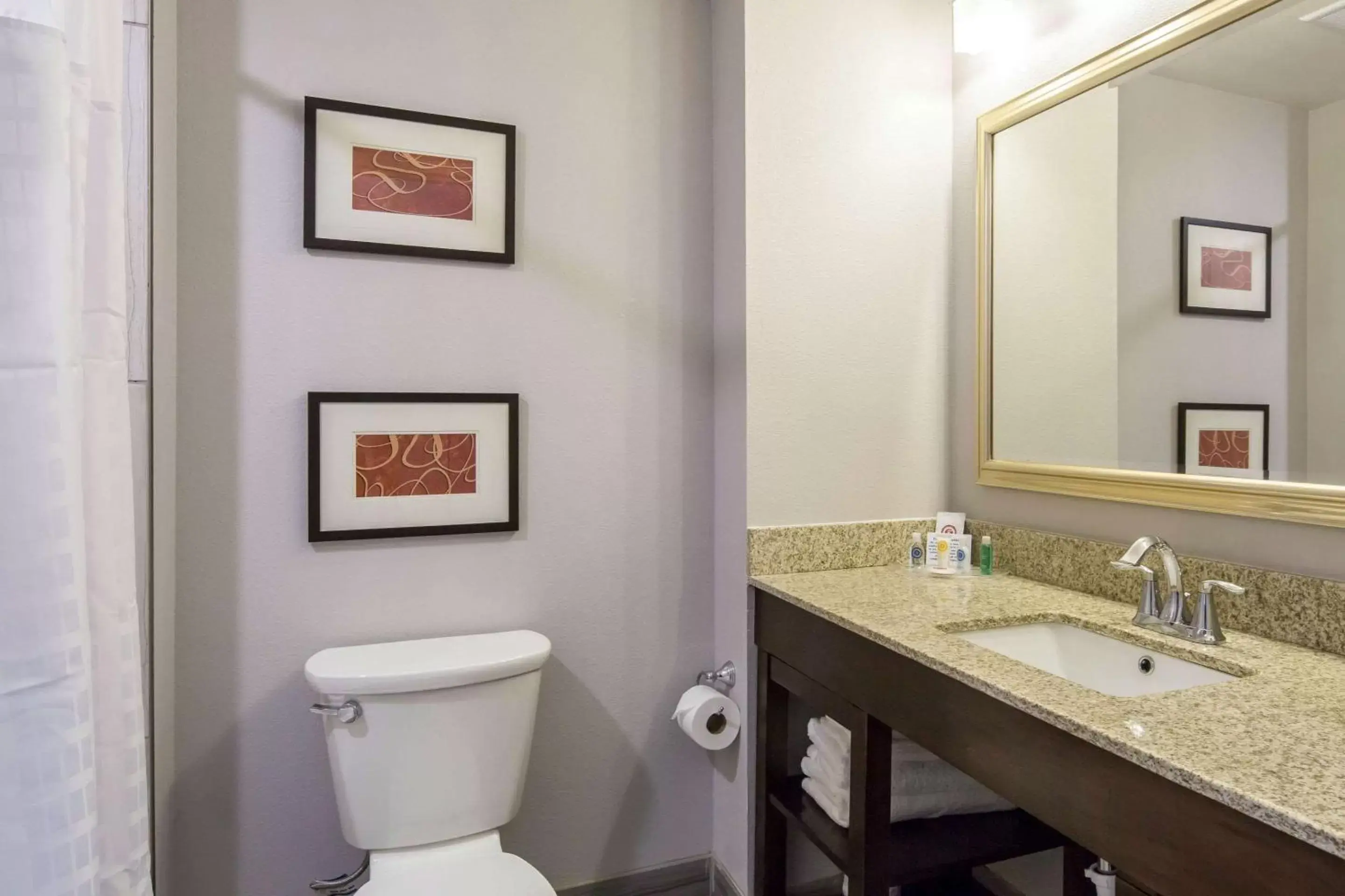 Bathroom in Comfort Inn & Suites Lovington