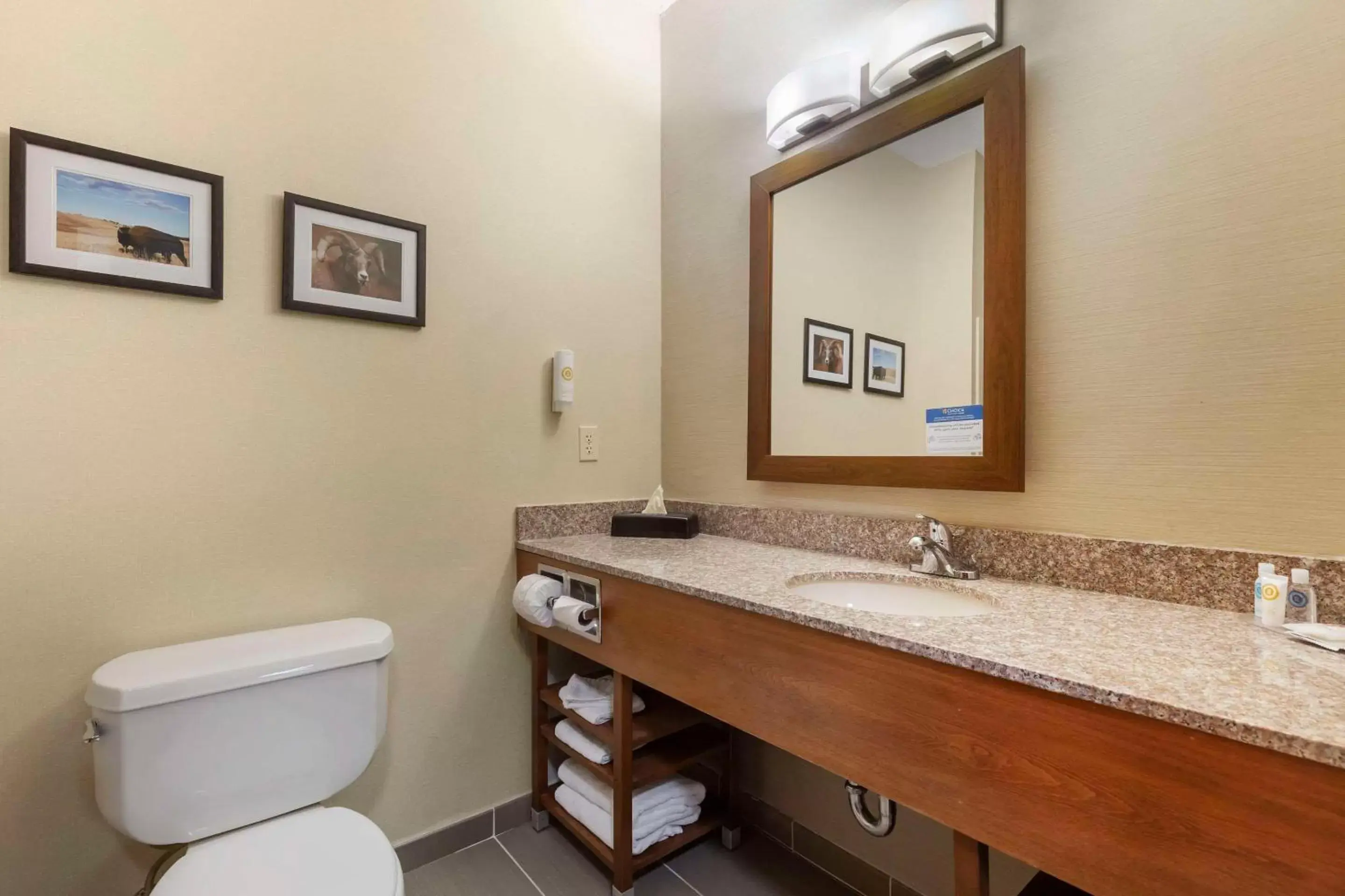 Bedroom, Bathroom in Comfort Inn & Suites Rapid City