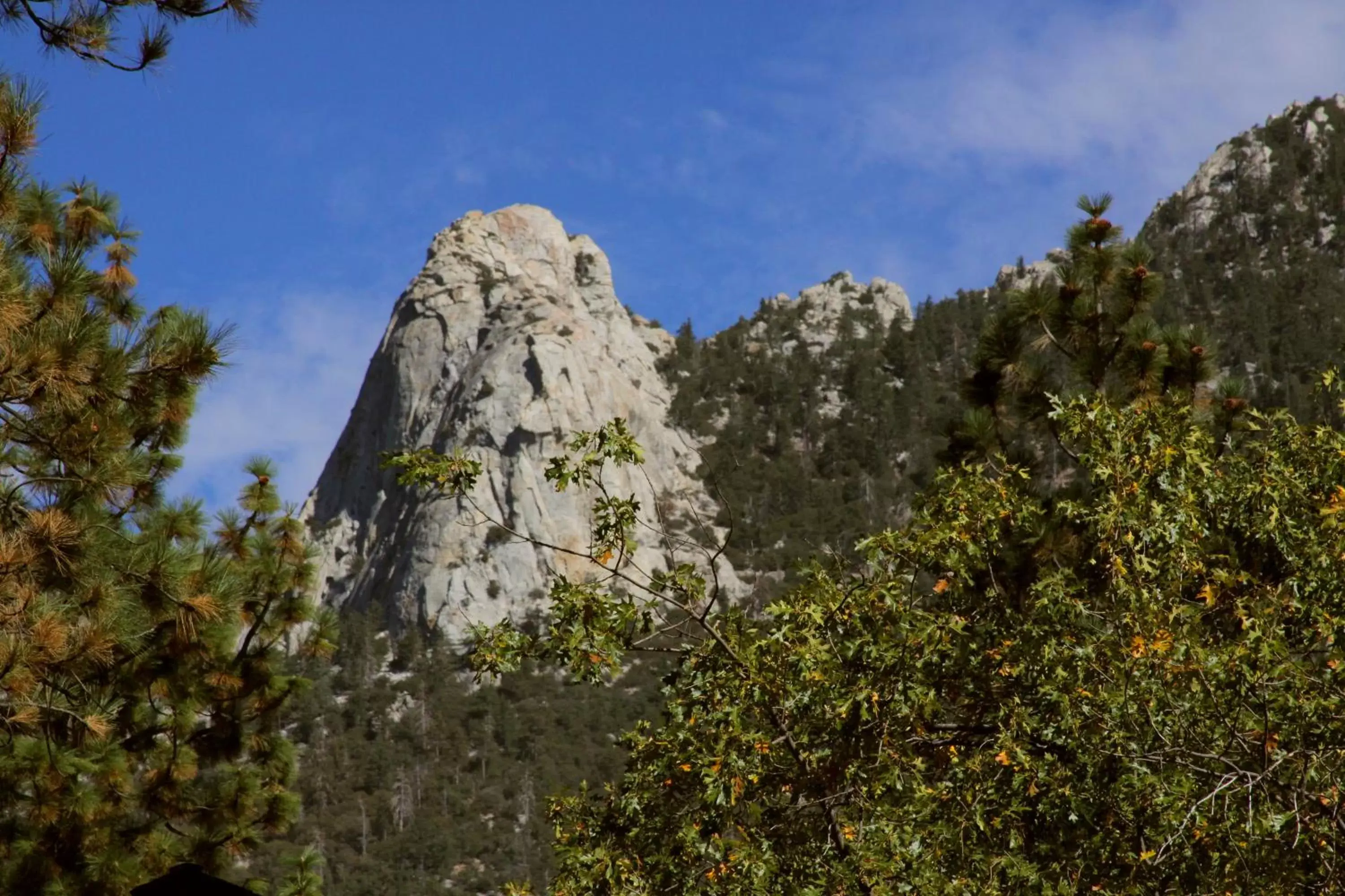 Nearby landmark, Natural Landscape in The Grand Idyllwild Lodge