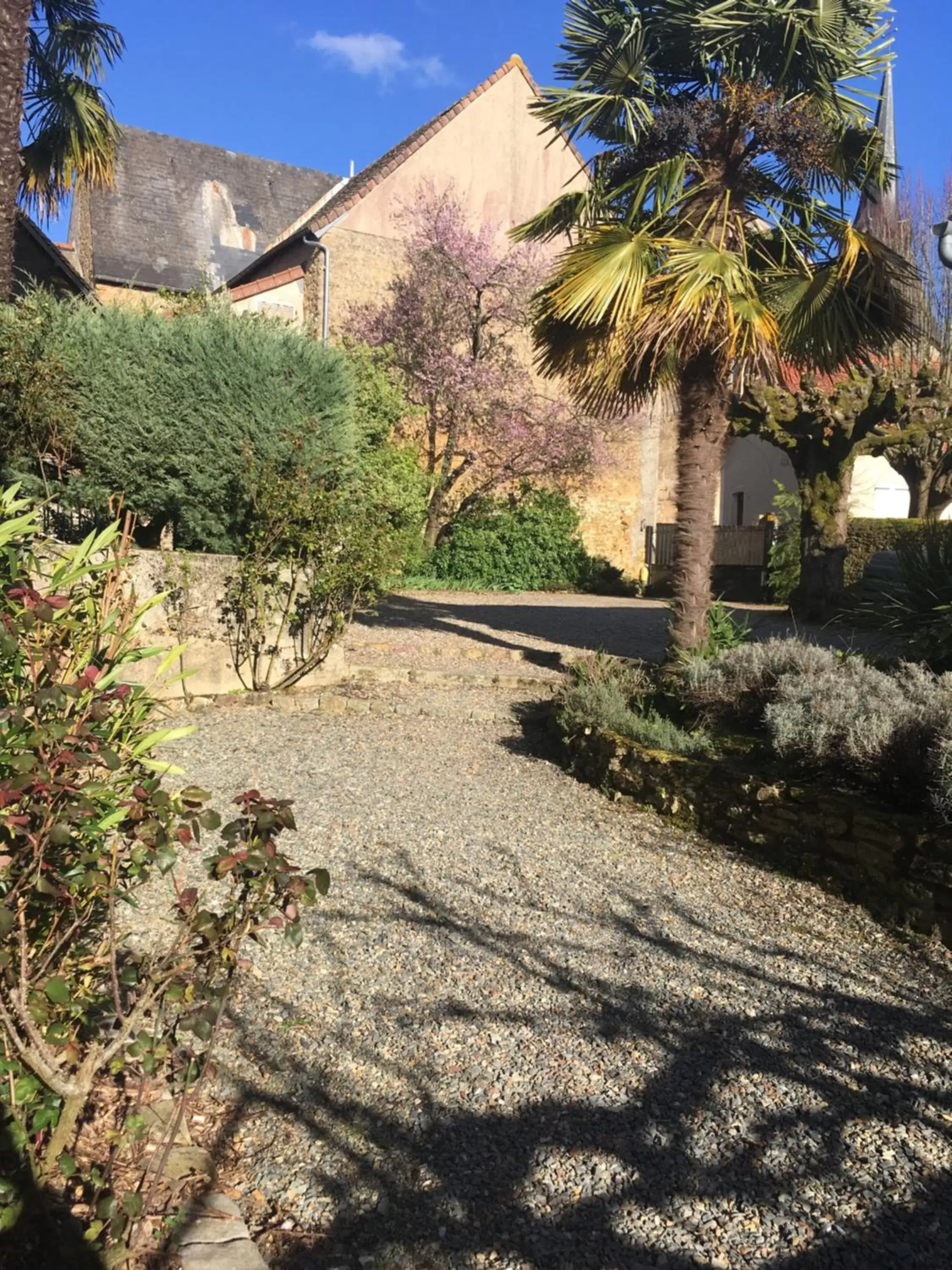 Garden in chambre privée