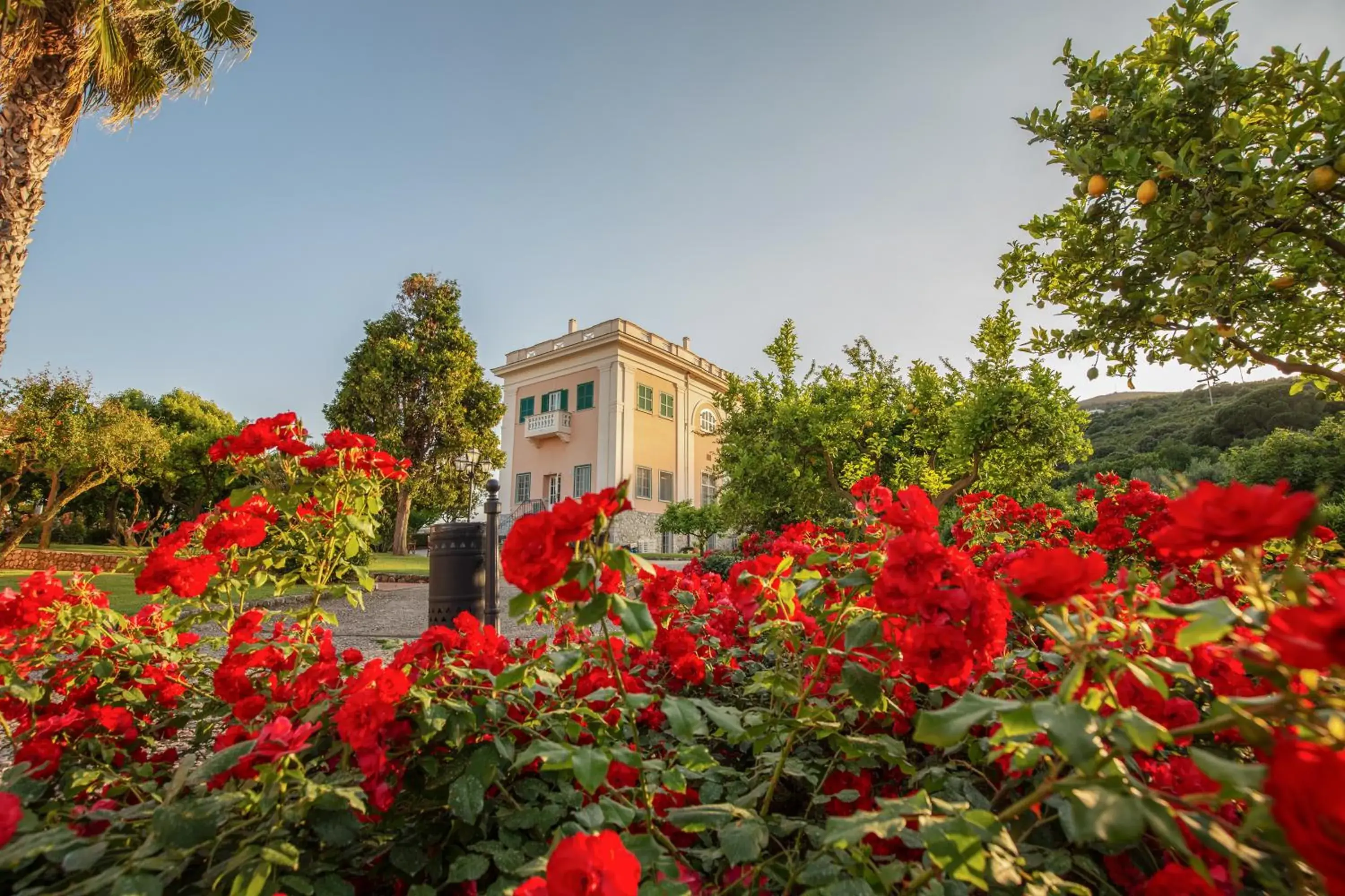 Garden view, Property Building in Villa Irlanda Grand Hotel