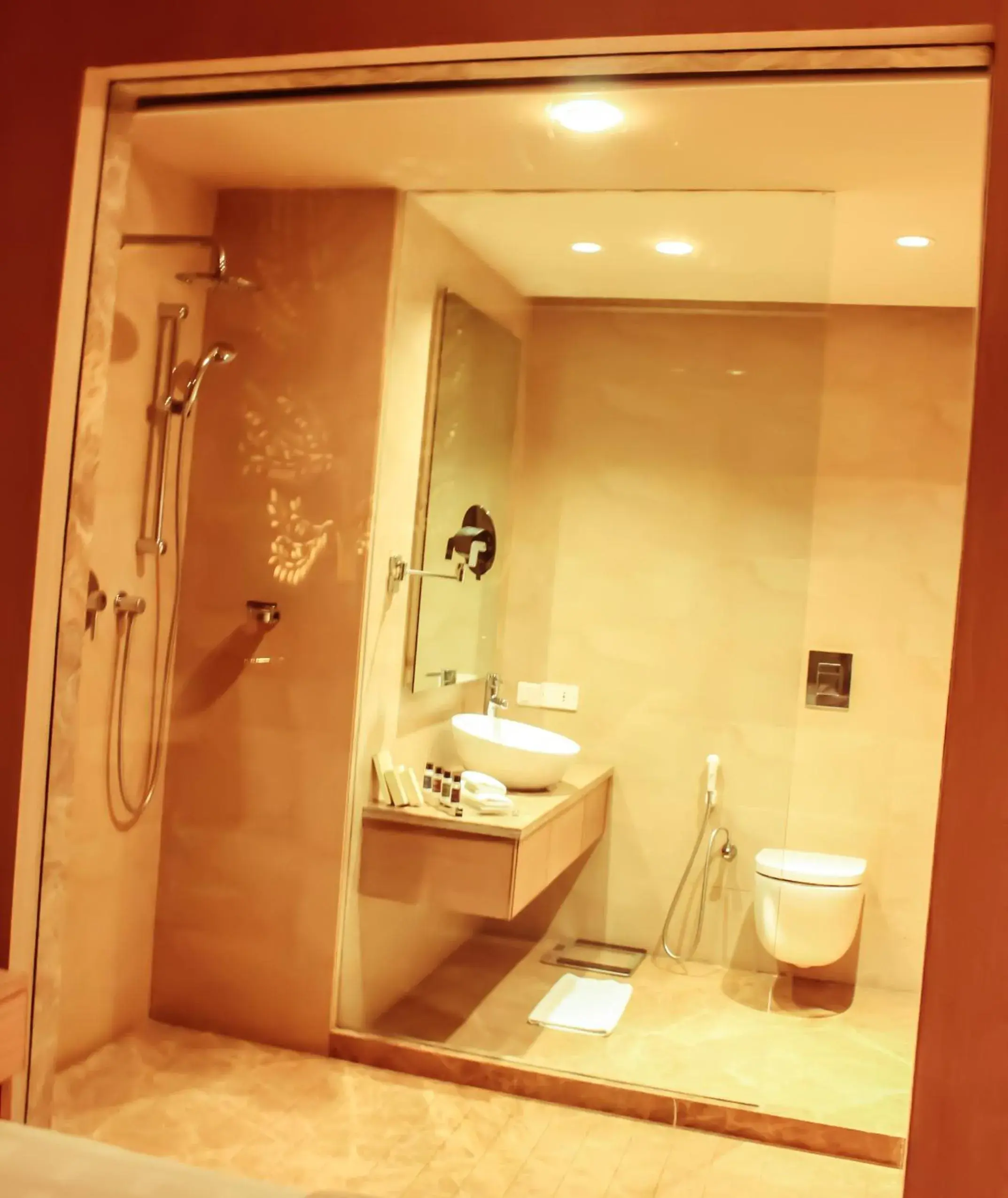 Bathroom in Radisson Blu Hotel New Delhi Dwarka