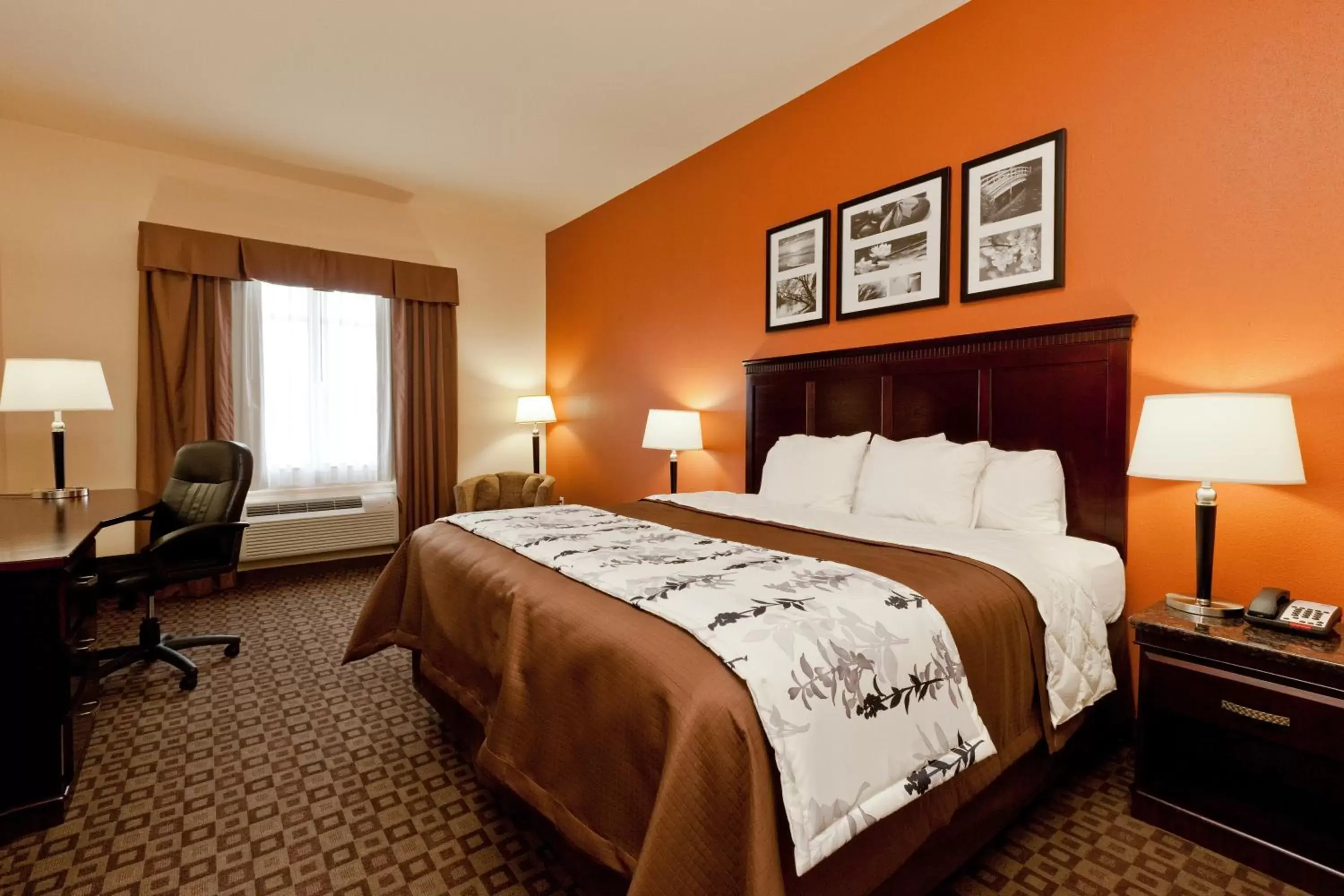 Standard King Room - Non-Smoking  in Sleep Inn & Suites Highway 290/Northwest Freeway