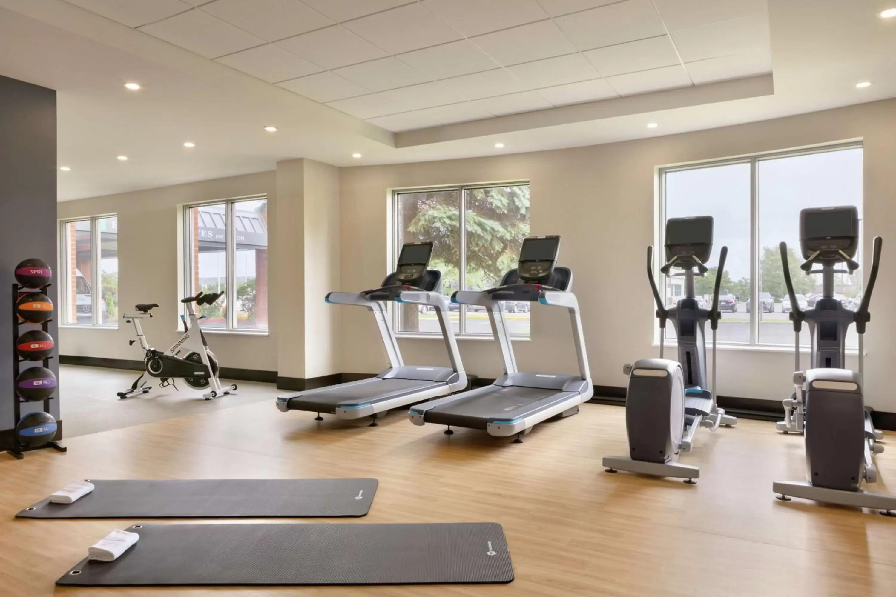 Fitness centre/facilities, Fitness Center/Facilities in Embassy Suites By Hilton Montreal Airport