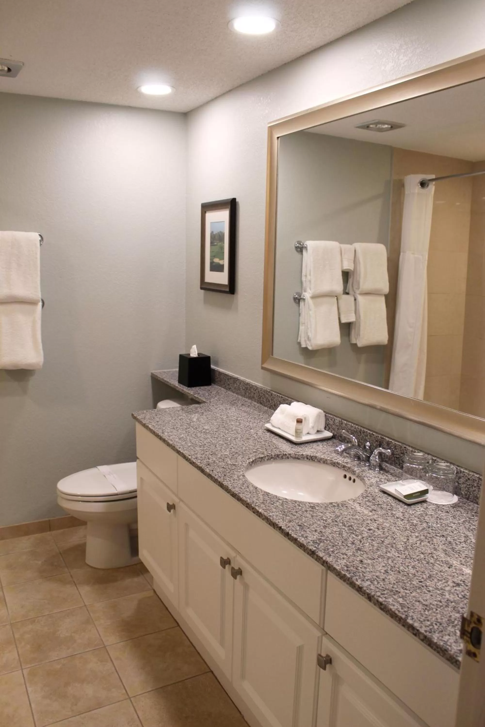 Bathroom in Innisbrook Resort