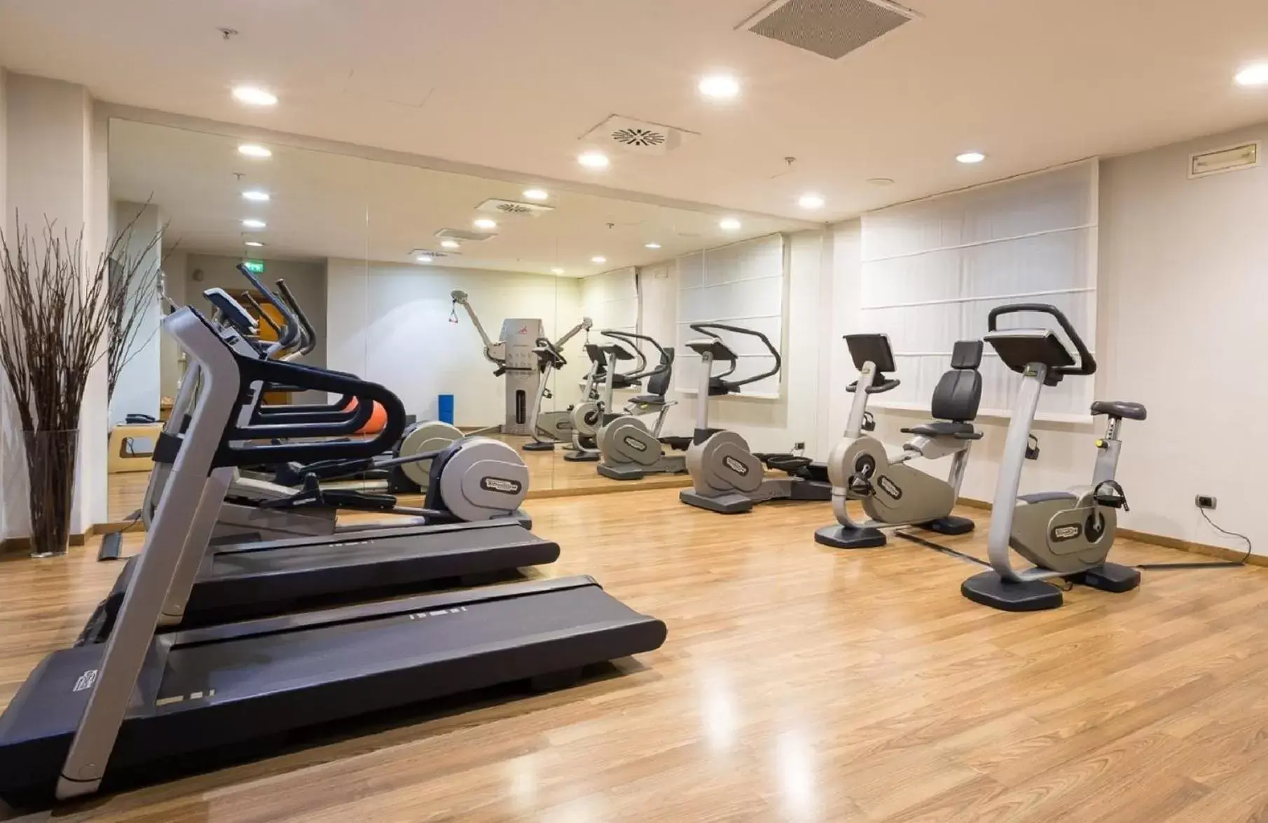 Fitness centre/facilities, Fitness Center/Facilities in Crowne Plaza Milan Malpensa Airport, an IHG Hotel