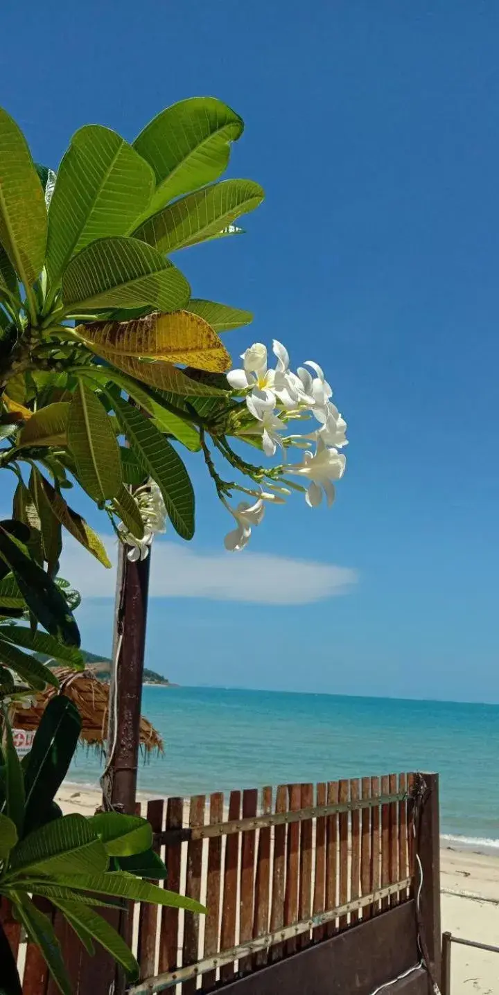 Sea View in Lipa Bay Resort