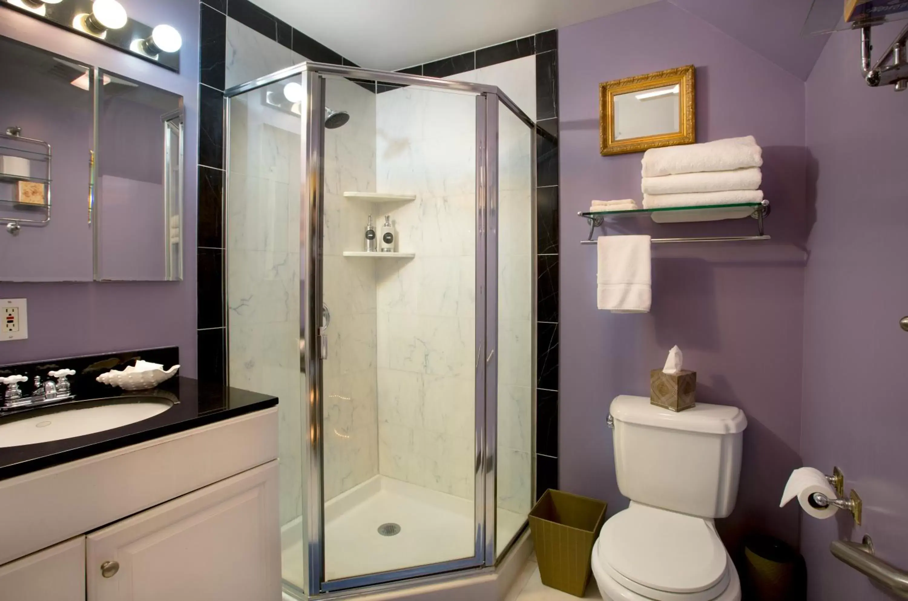 Shower, Bathroom in Noe's Nest Bed and Breakfast
