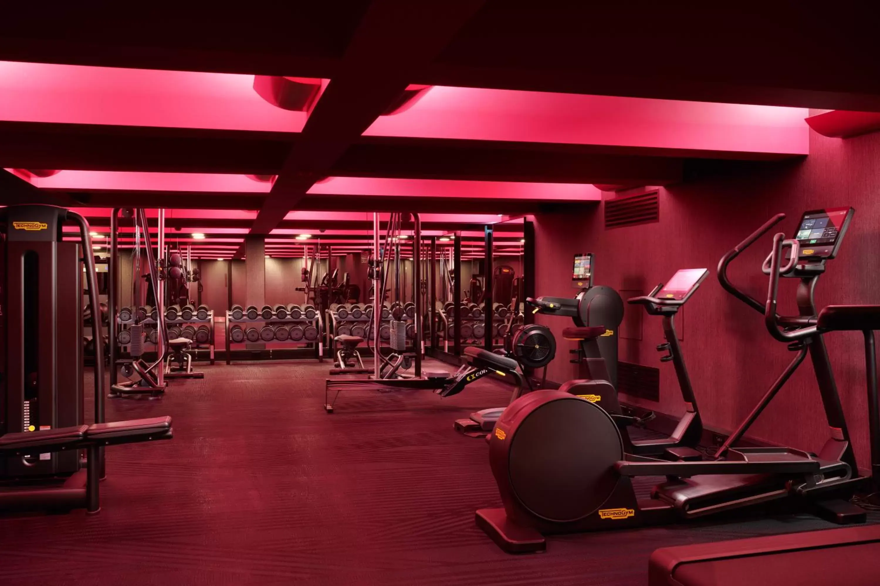 Fitness centre/facilities, Fitness Center/Facilities in Malmaison York