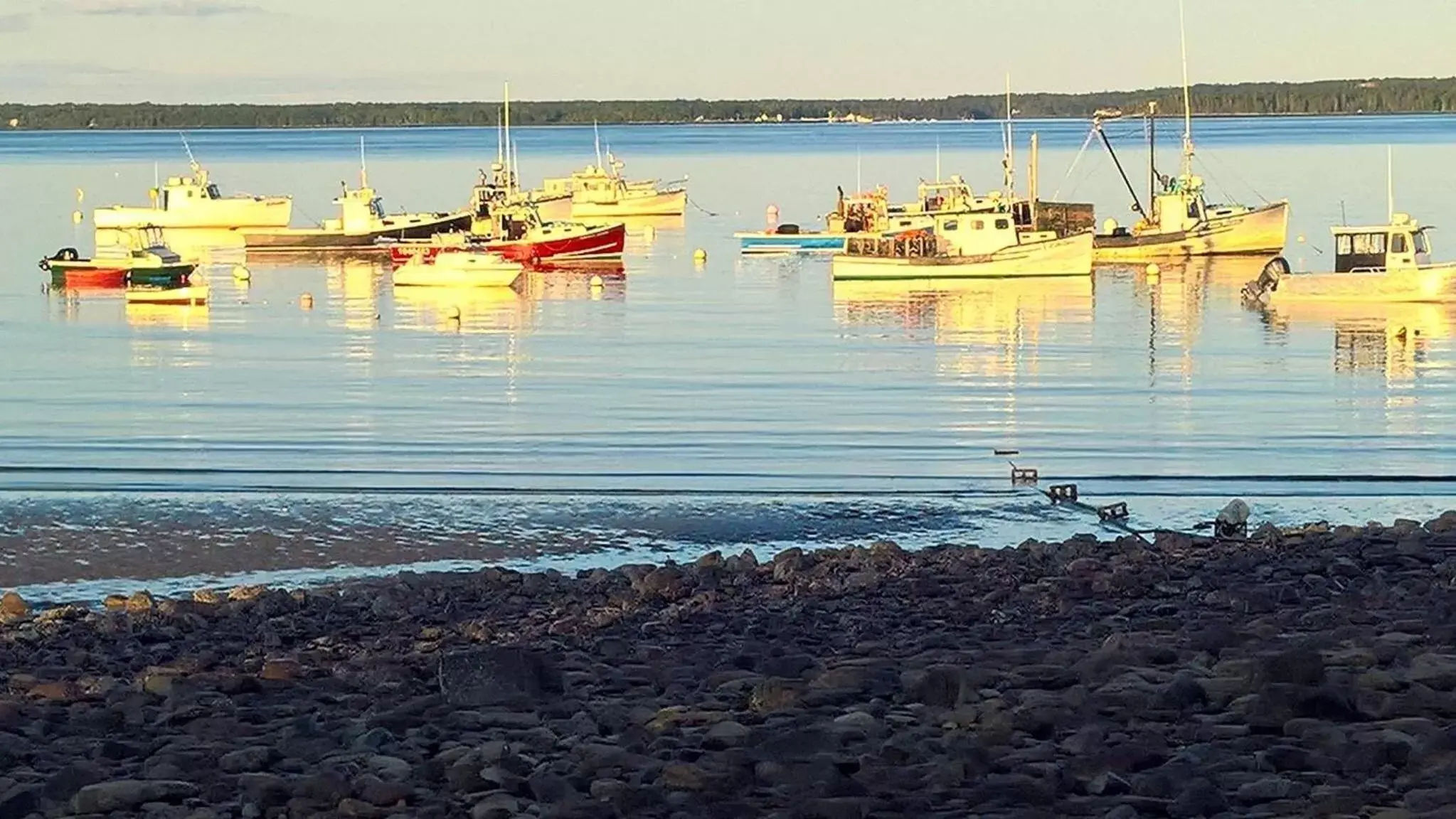 Fishing, Beach in Spouter Inn Bed & Breakfast