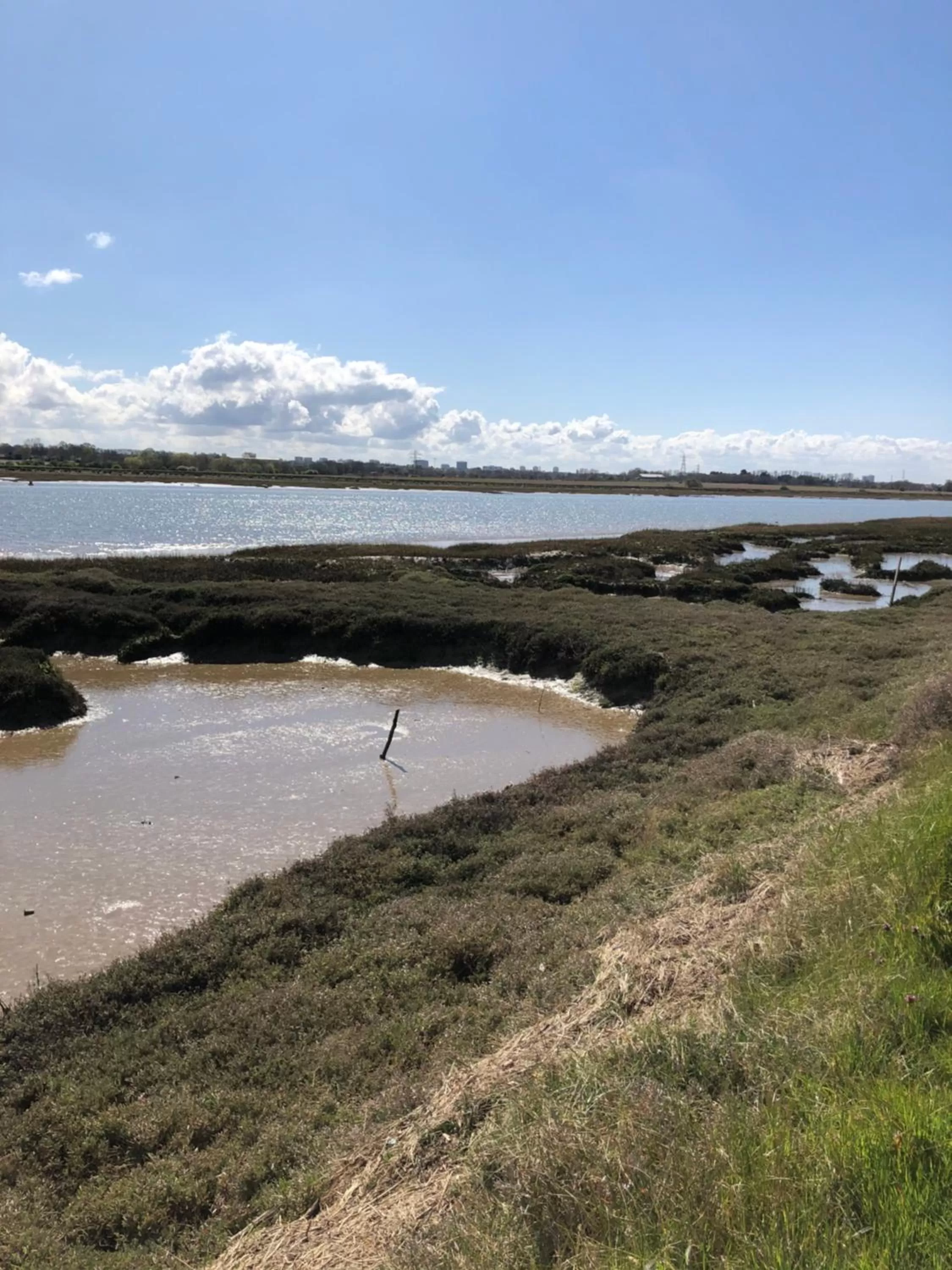 Natural landscape, Beach in Southend Airport Bed & Breakfast