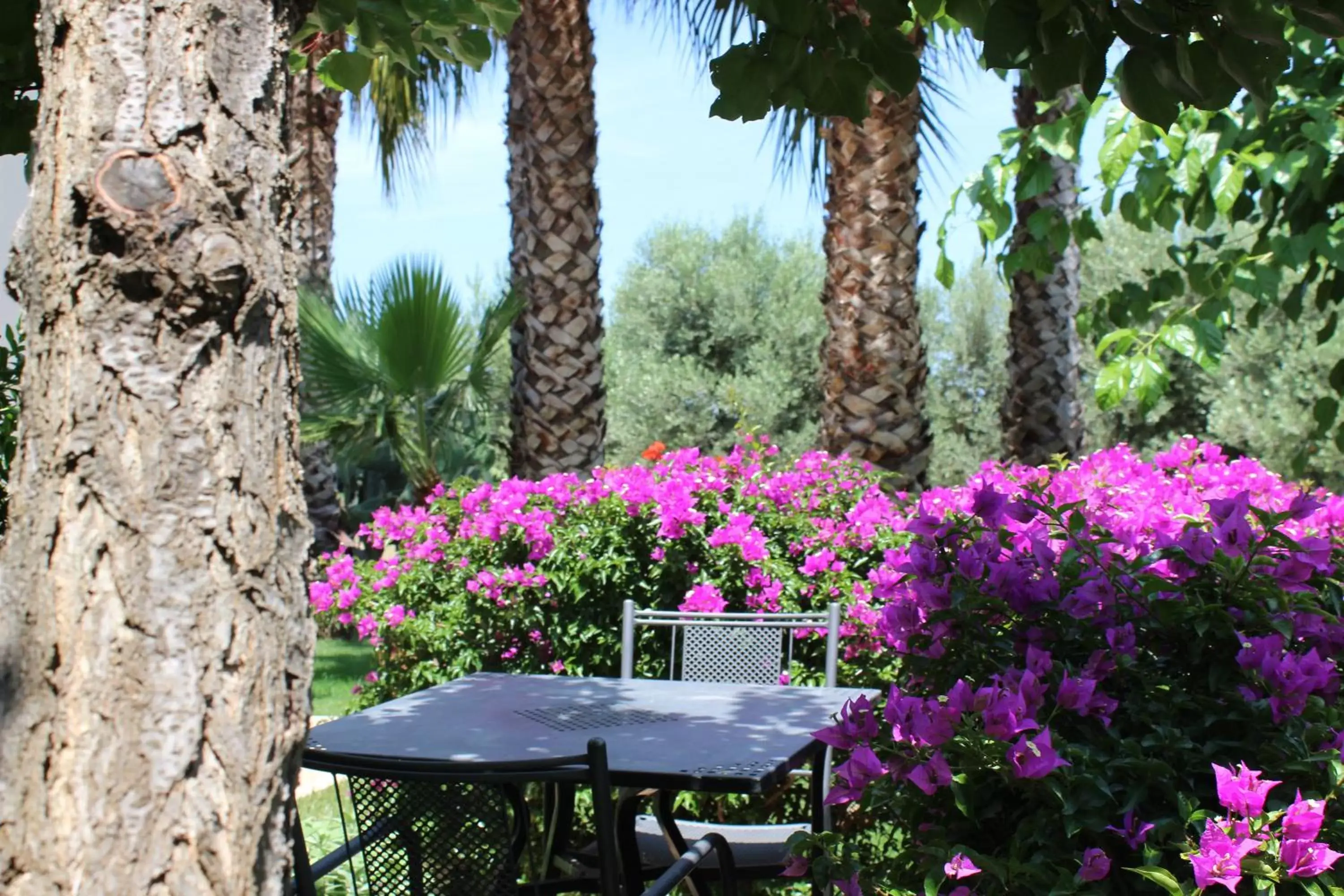 Garden view in Villa Narducci