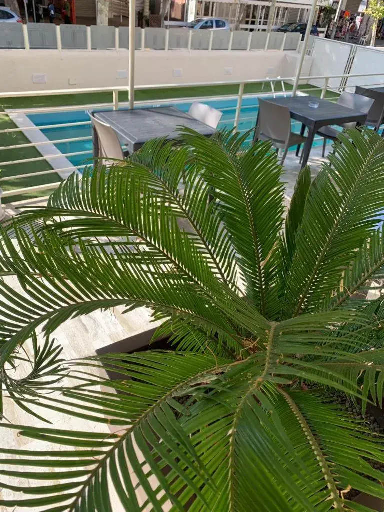 Balcony/Terrace, Swimming Pool in Hotel Audi Frontemare