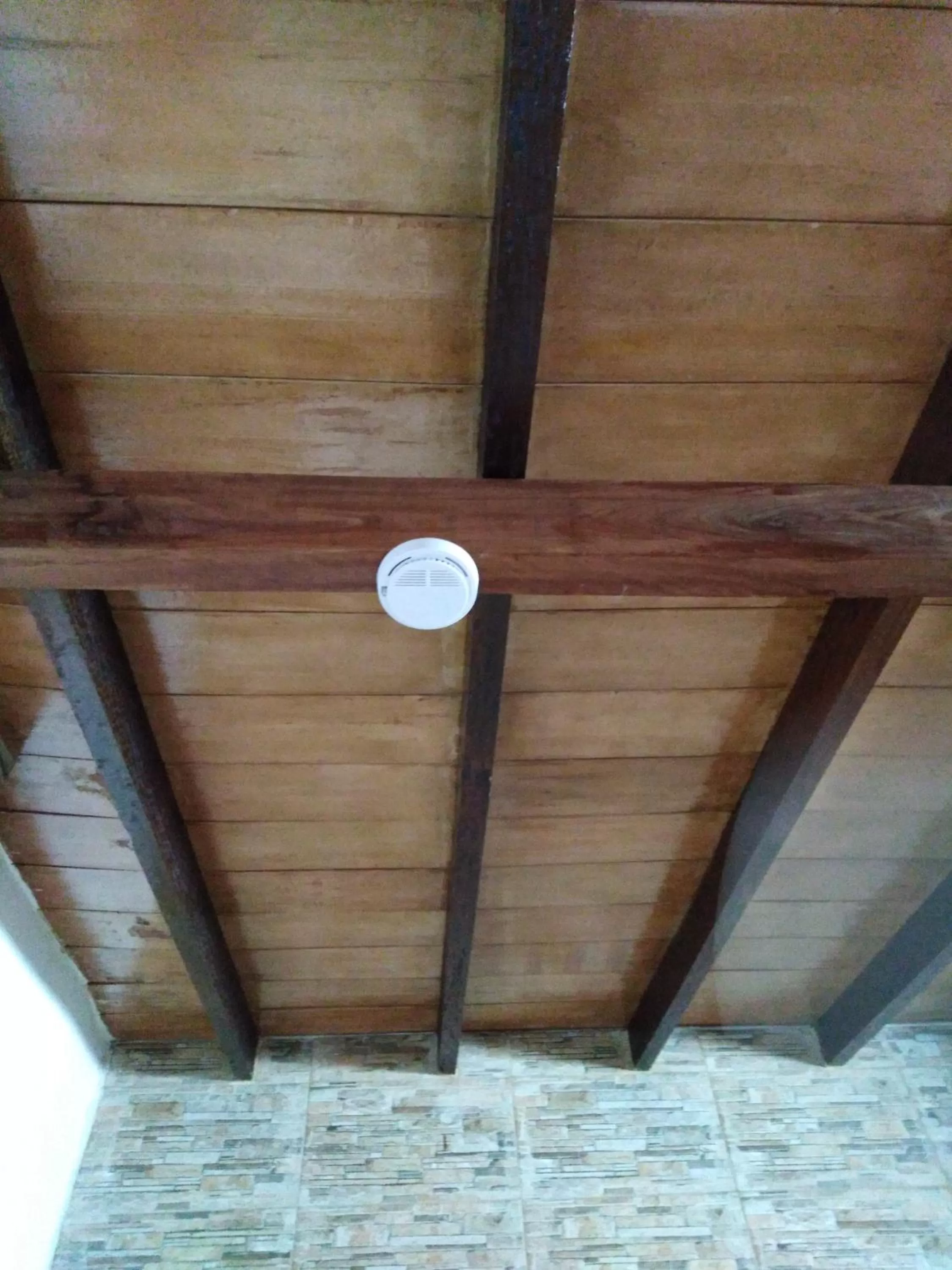 Property building in Granados