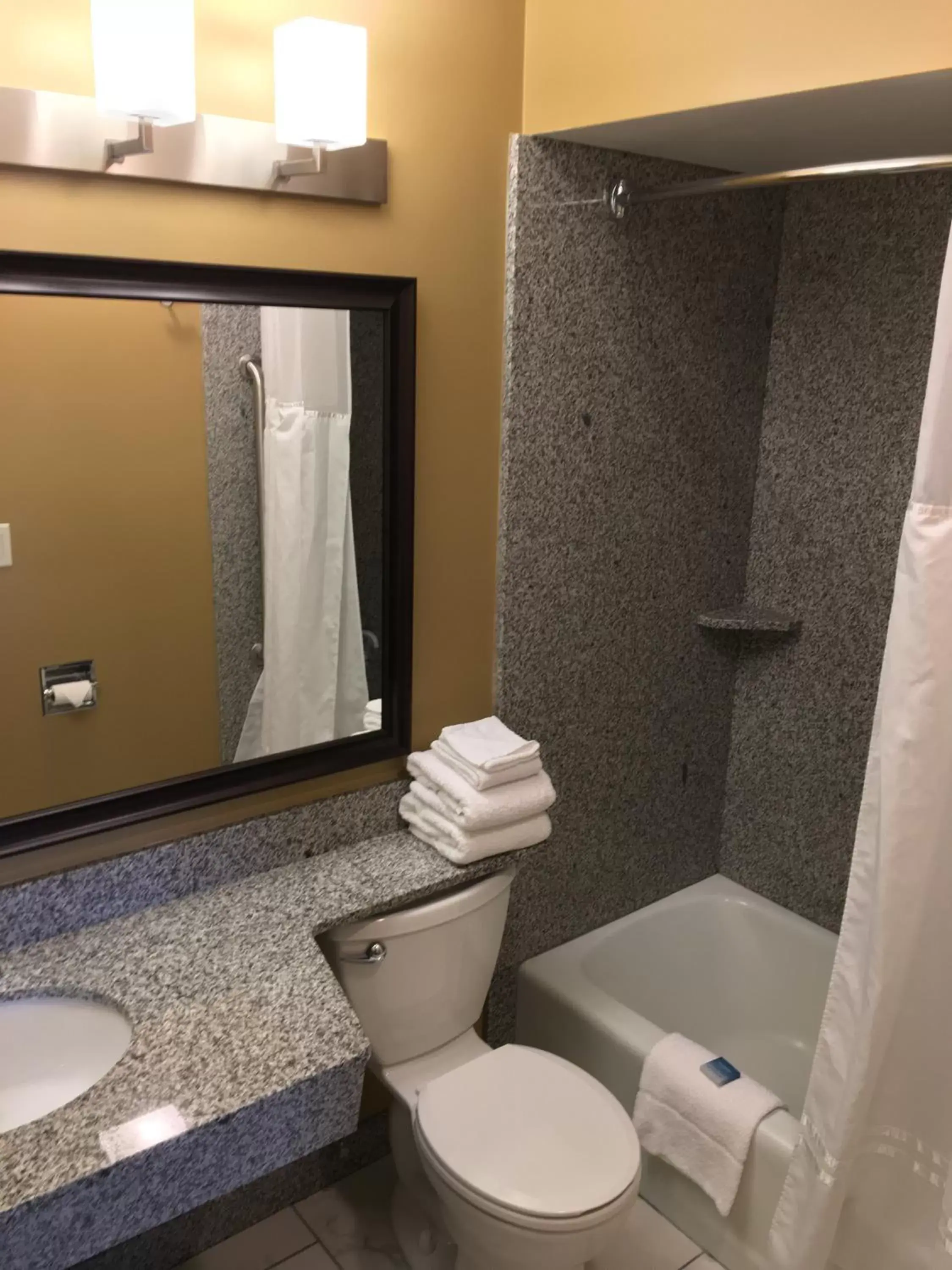 Shower, Bathroom in Best Western Falcon Plaza