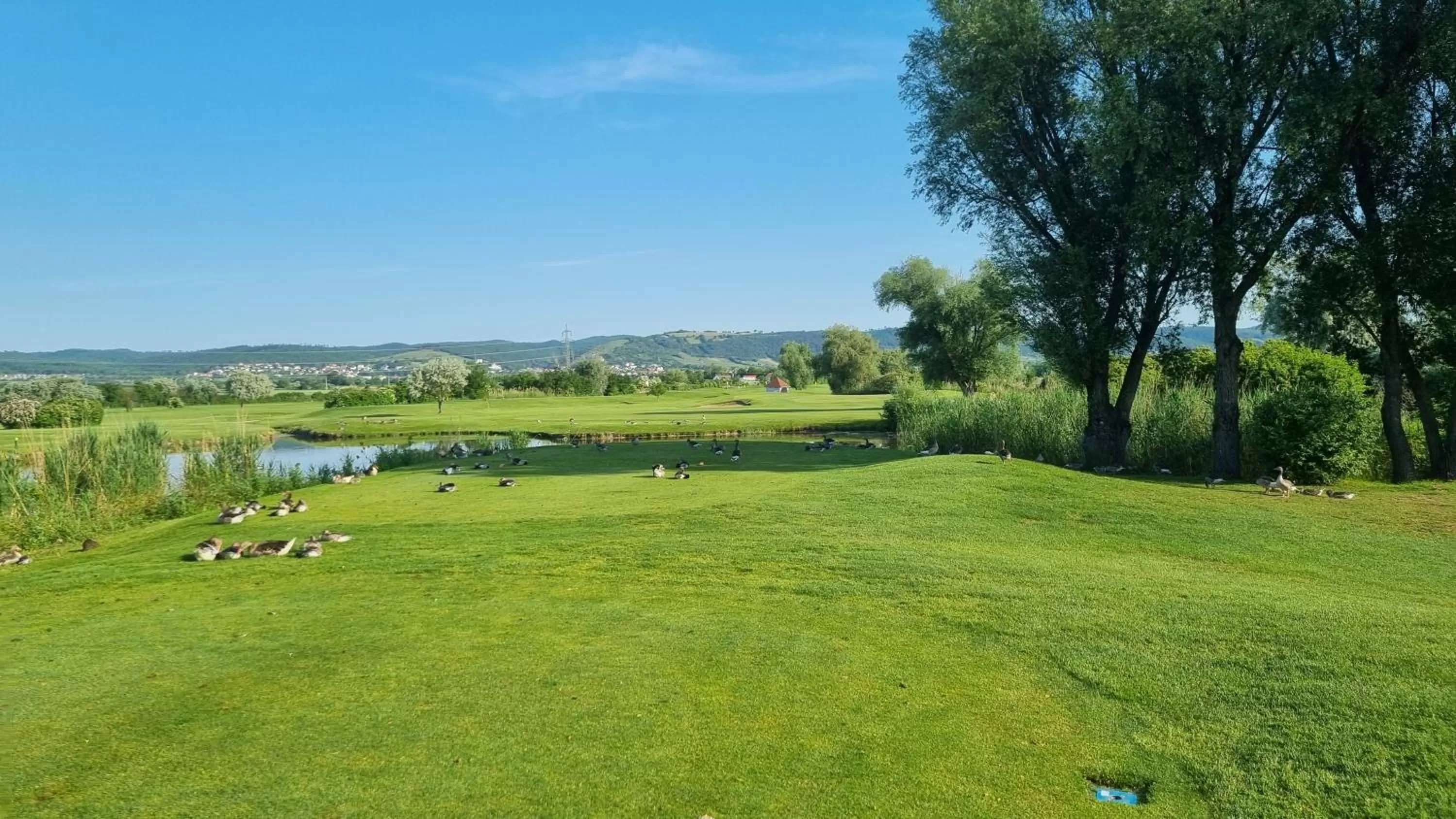 Golfcourse in BIRKENHOF - Tag und Nacht perfekt verbracht!