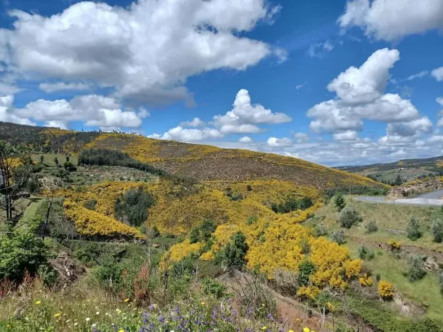 Mountain view in Casa da Ponte, Coja