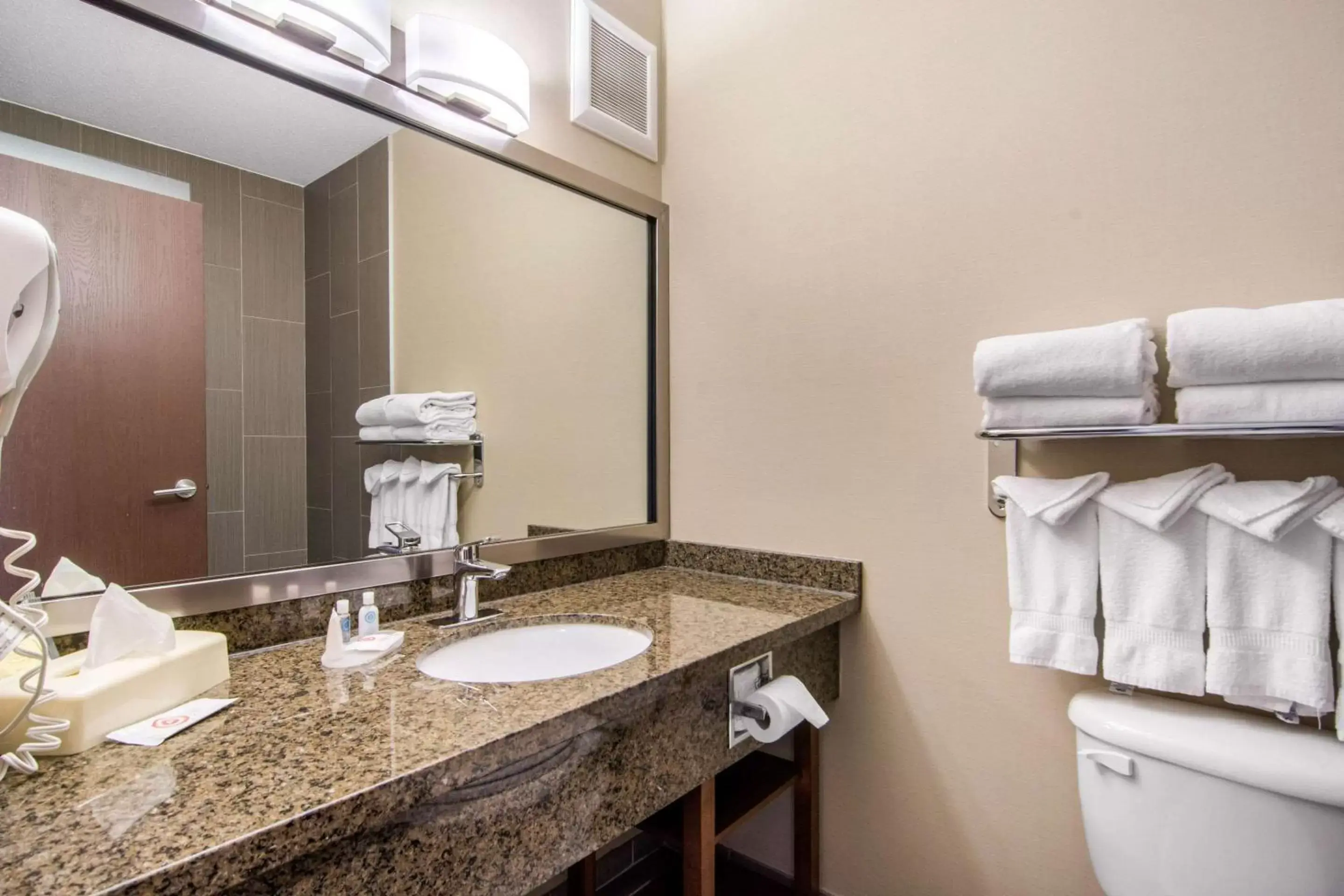 Bathroom in Comfort Inn & Suites Medicine Hat