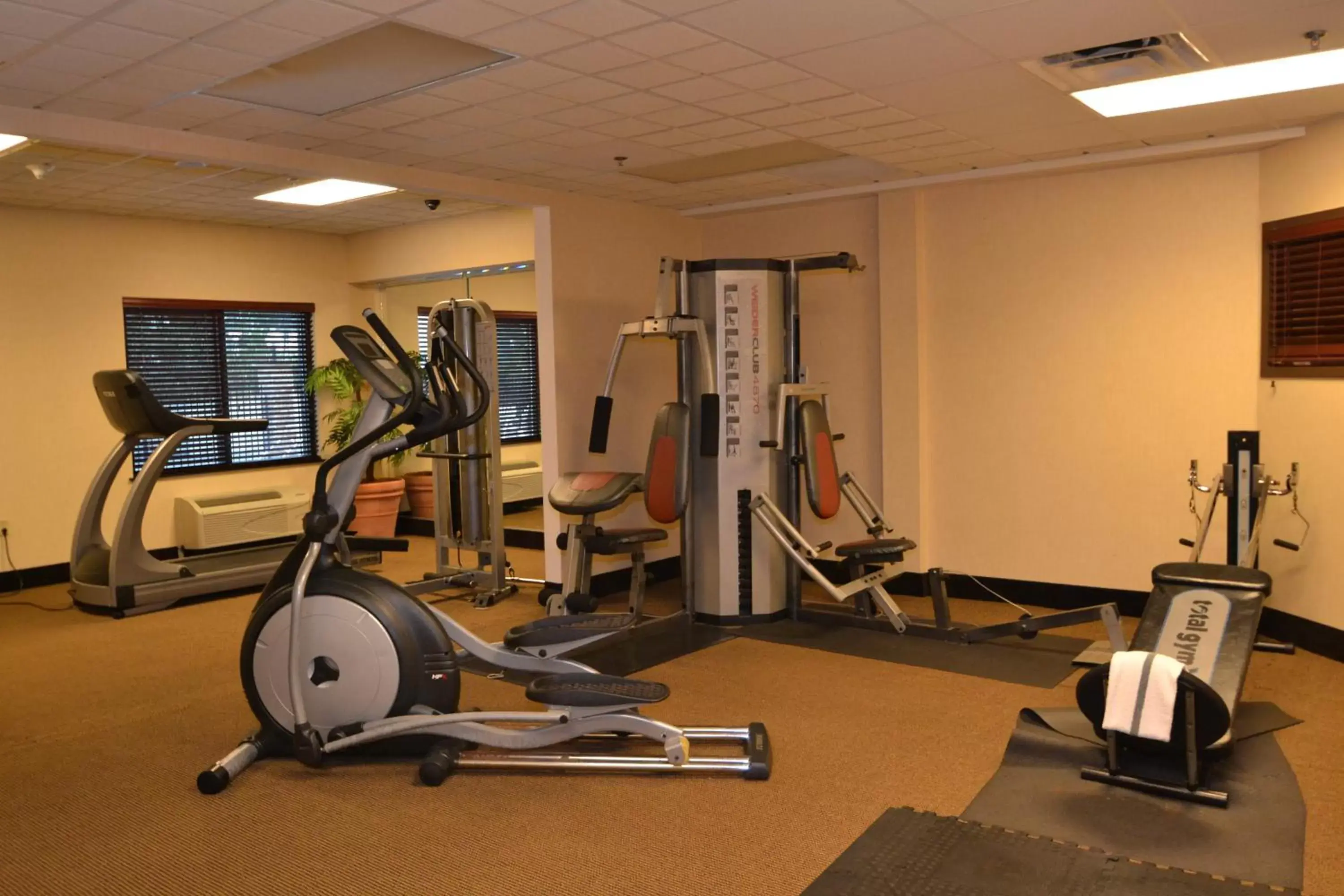 Fitness centre/facilities, Fitness Center/Facilities in Holiday Inn Express & Suites Mobile West I-10, an IHG Hotel