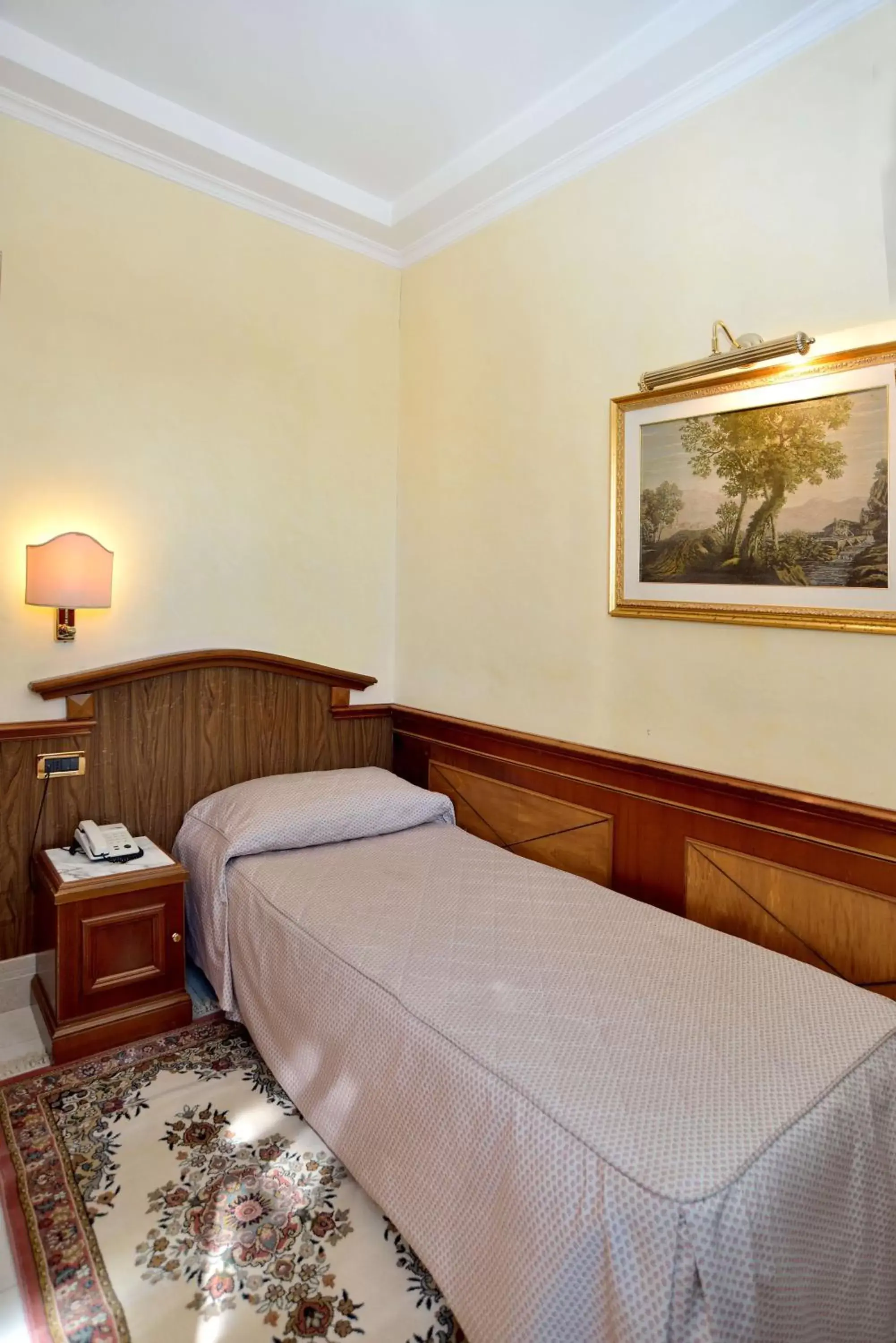 Single Room in Hotel Hiberia