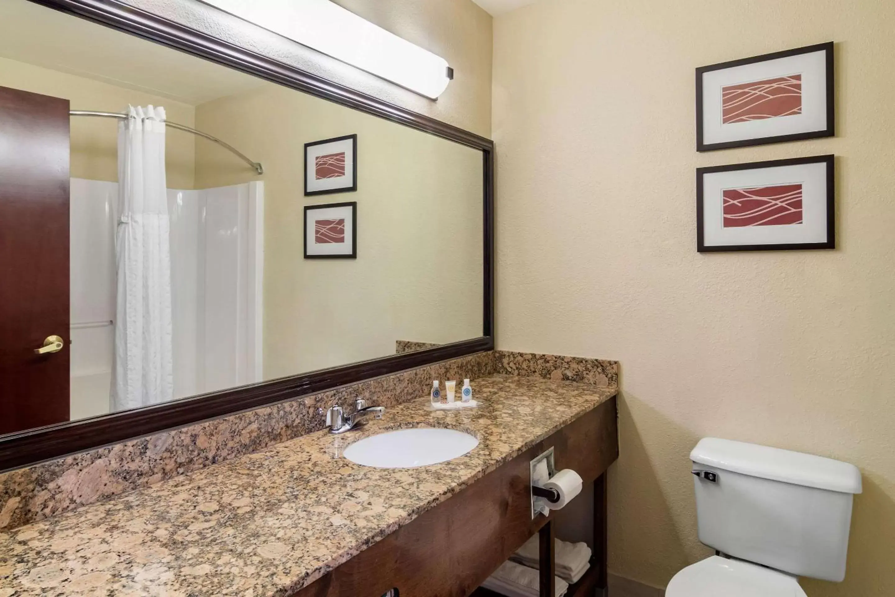 Bathroom in Comfort Inn and Suites