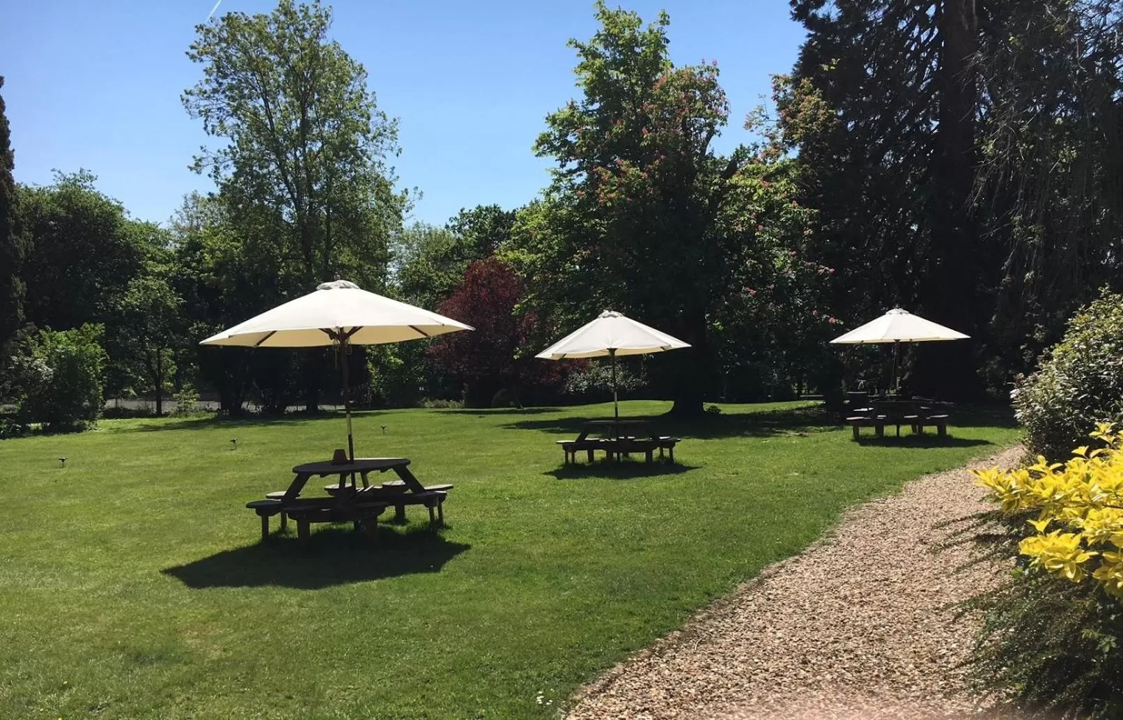 Garden in Farnham House Hotel