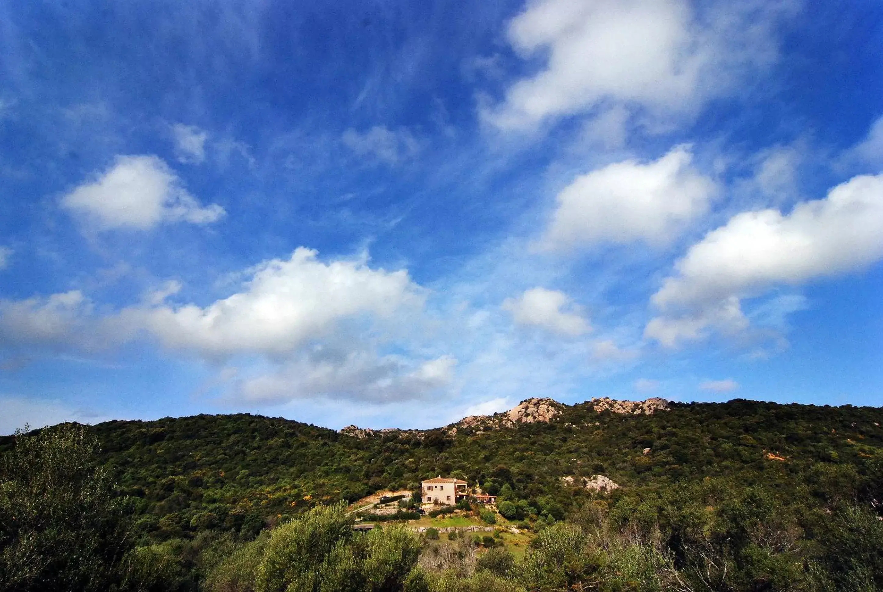 Garden view, Natural Landscape in B&B La Murichessa