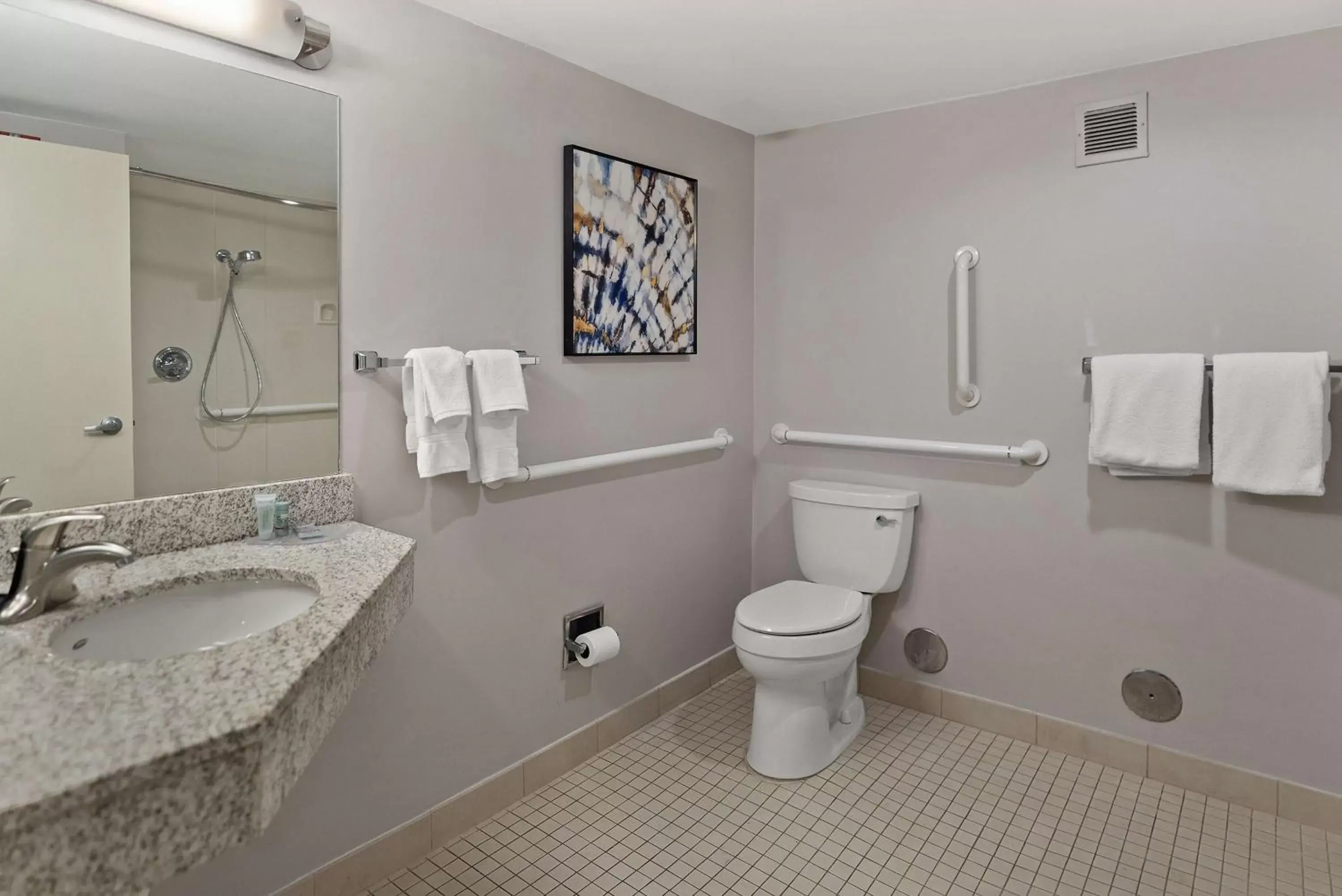 Bathroom in Best Western Spartanburg Northwest
