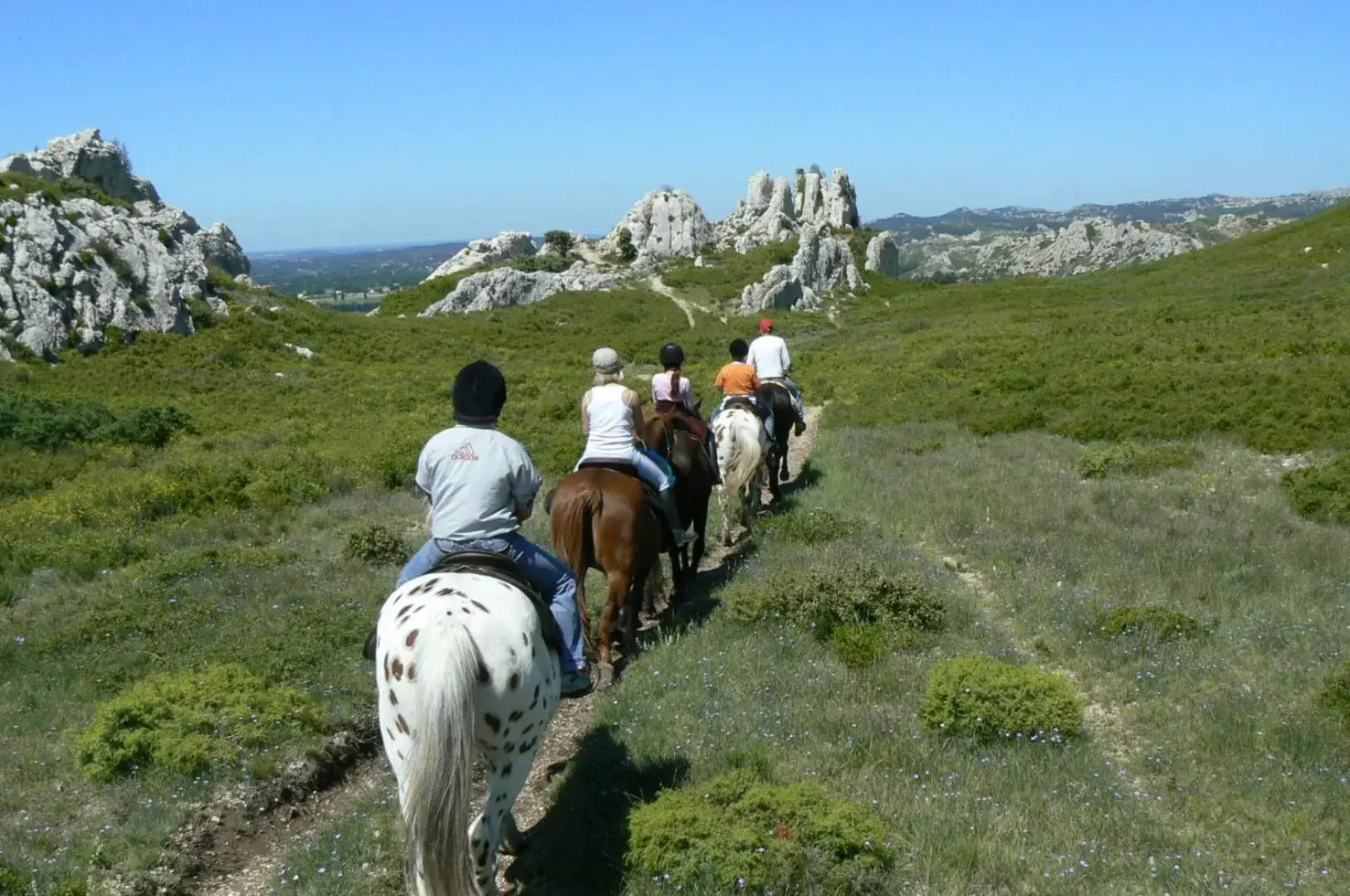 Horse-riding in Hotel Terriciaë Maussane