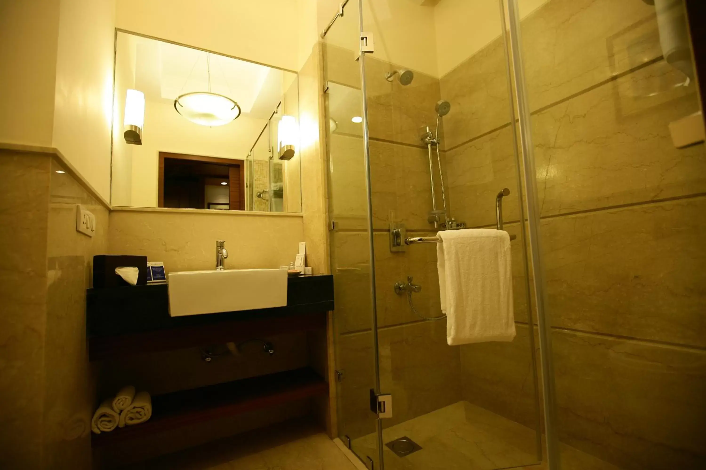 Bathroom in Muse Sarovar Portico Nehru Place