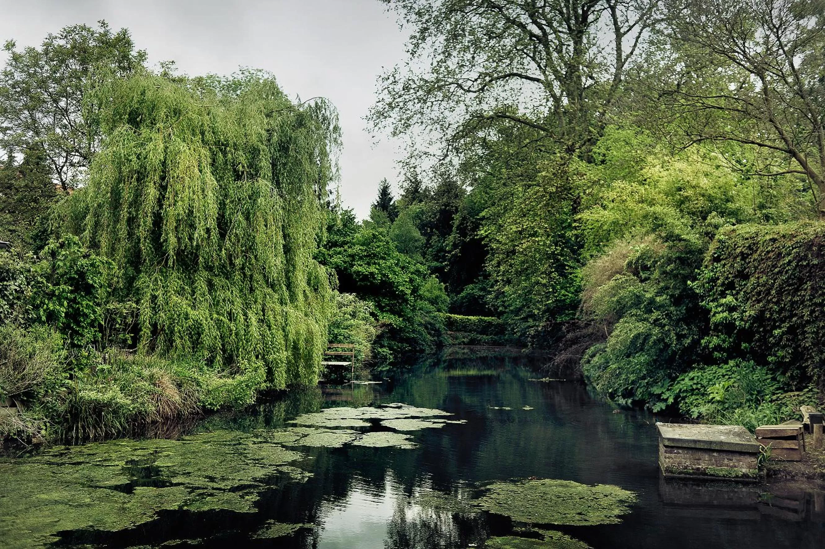 Area and facilities in Buitenplaats Kasteel Elsloo