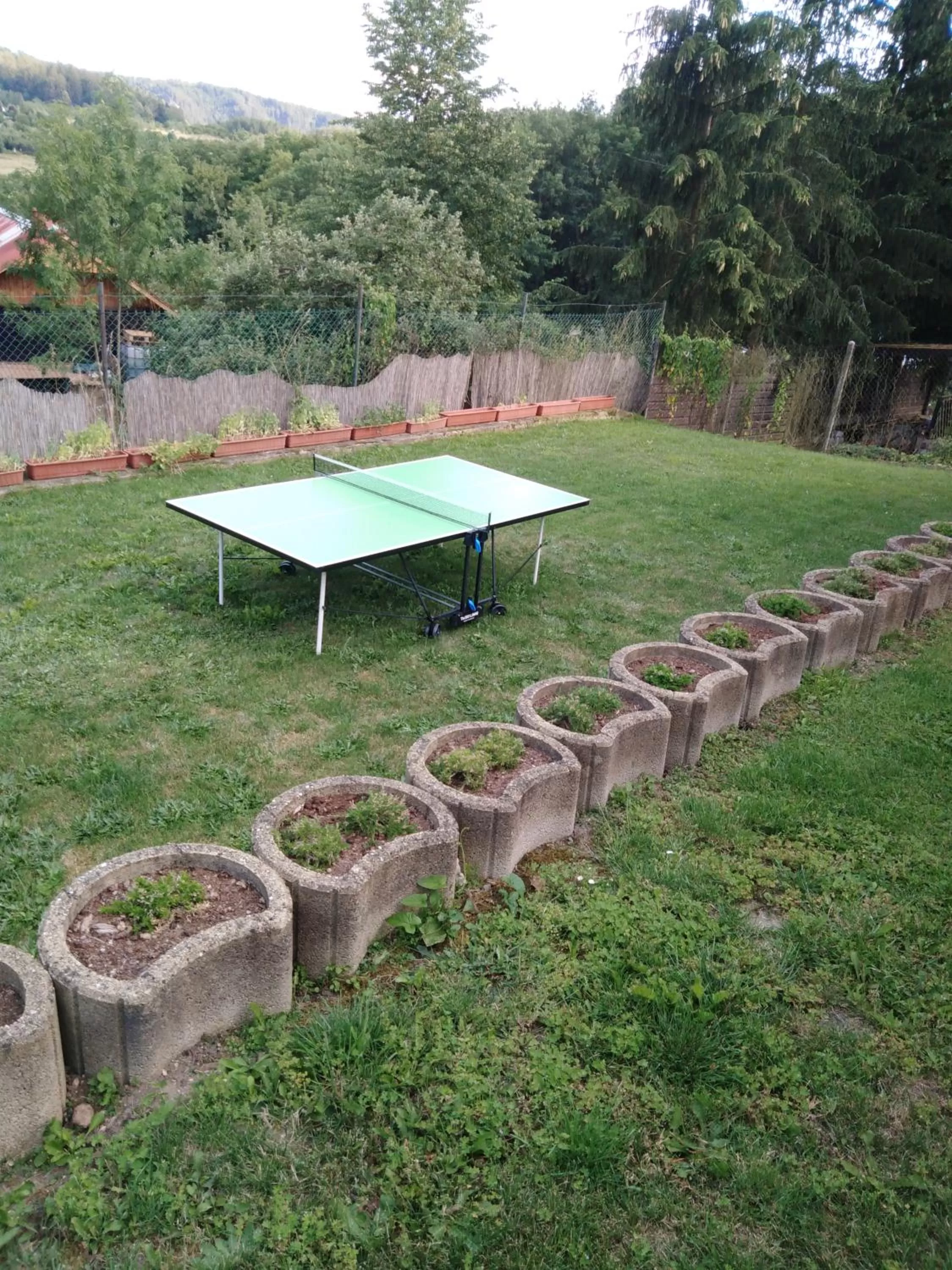 Table tennis in Pension Lukas