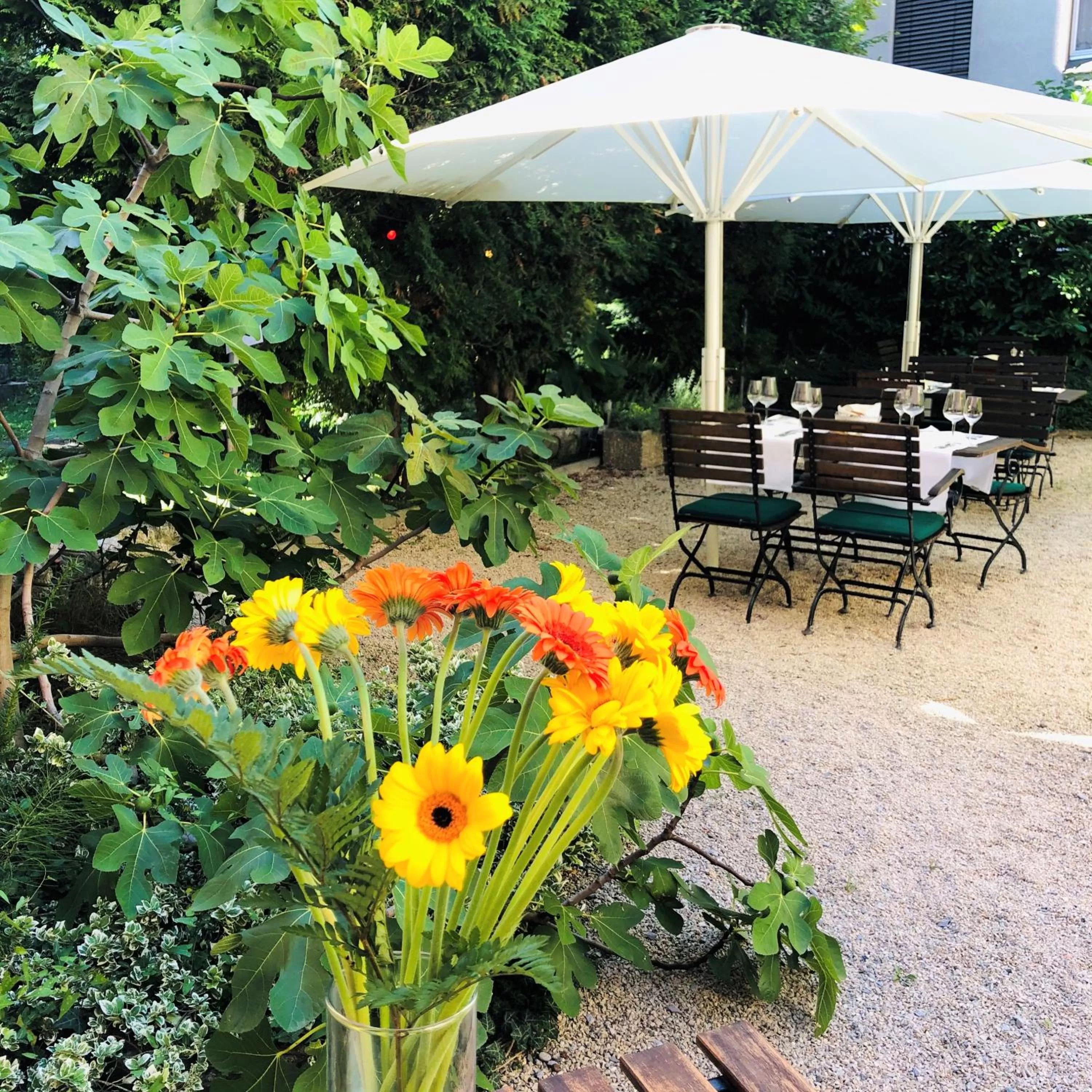 Patio in Hotel Neufeld