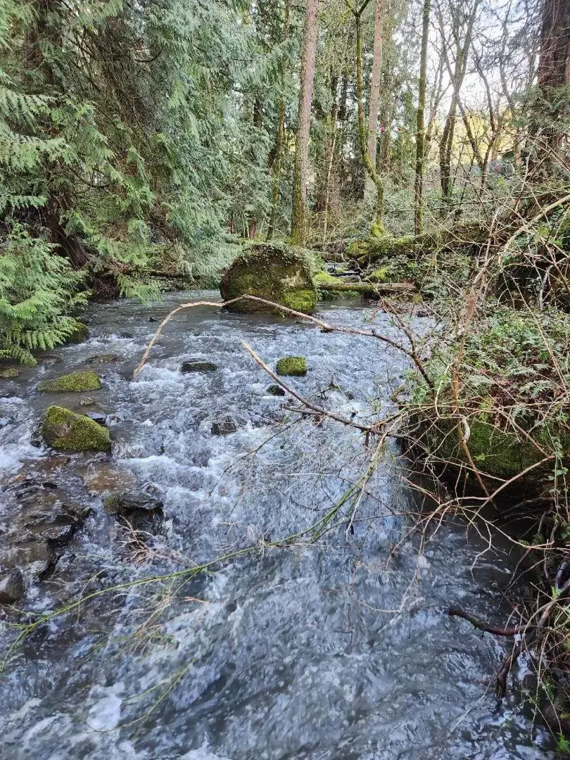 Natural Landscape in Scott Creek Farm