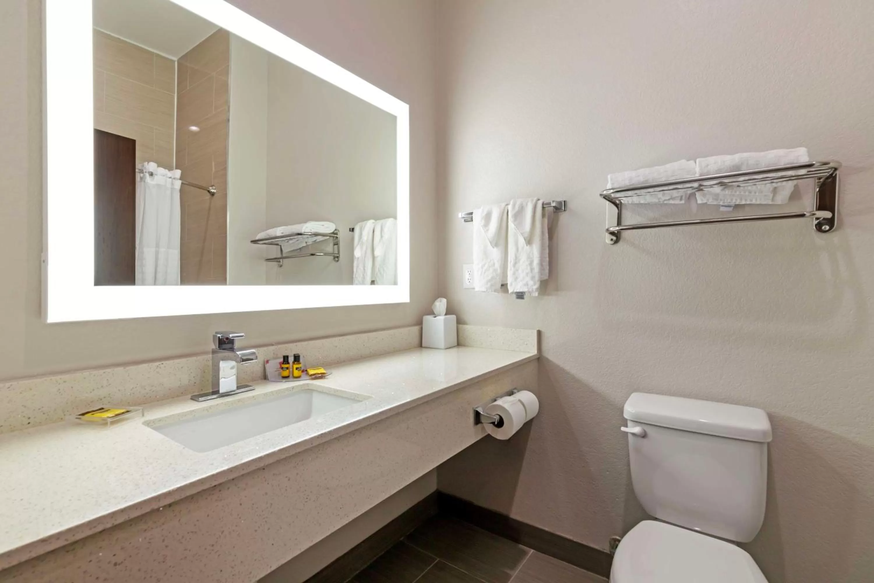 Bathroom in Best Western Plus Pleasanton Hotel