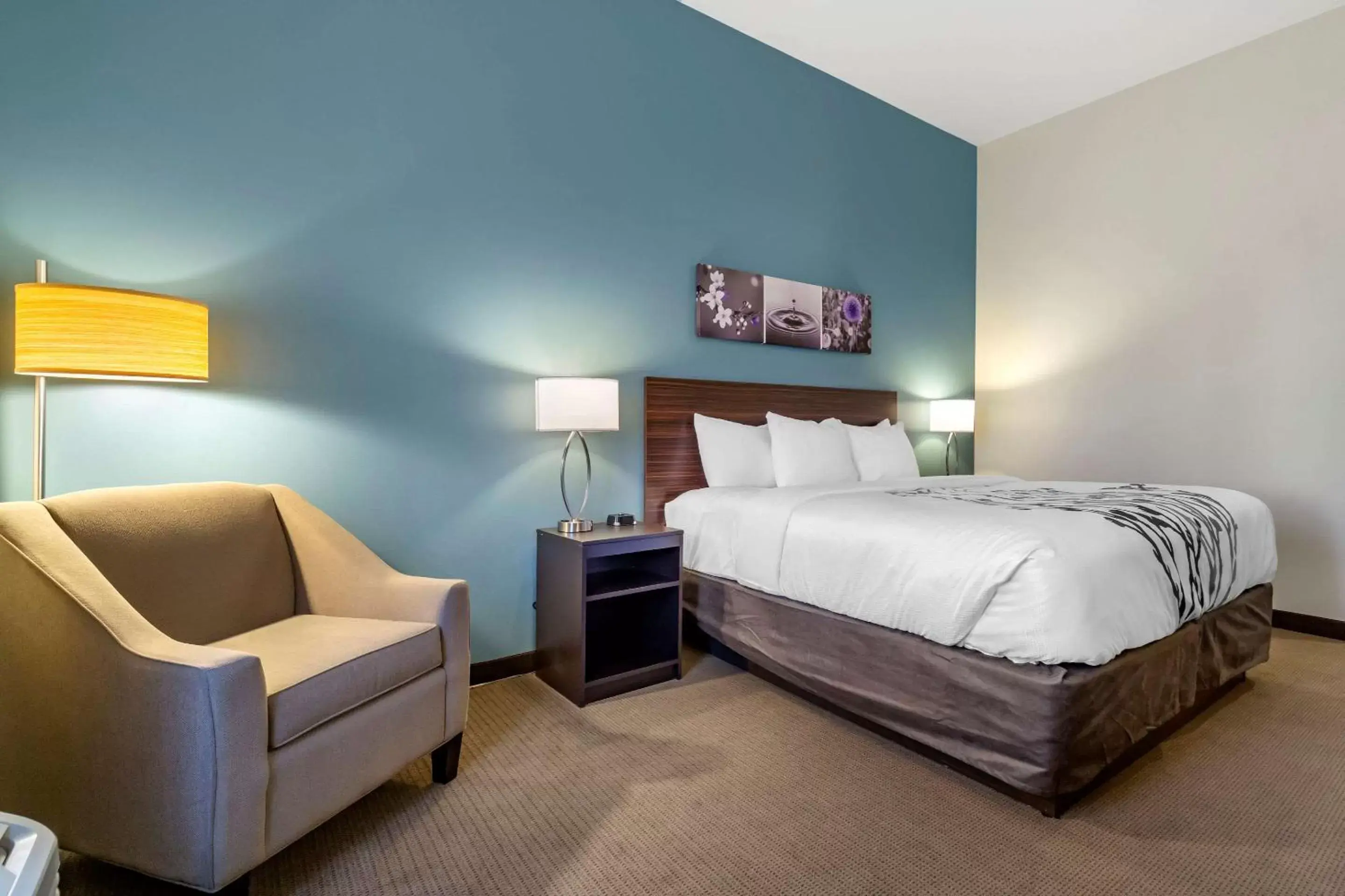 Photo of the whole room, Bed in Sleep Inn & Suites Wenatchee-Leavenworth