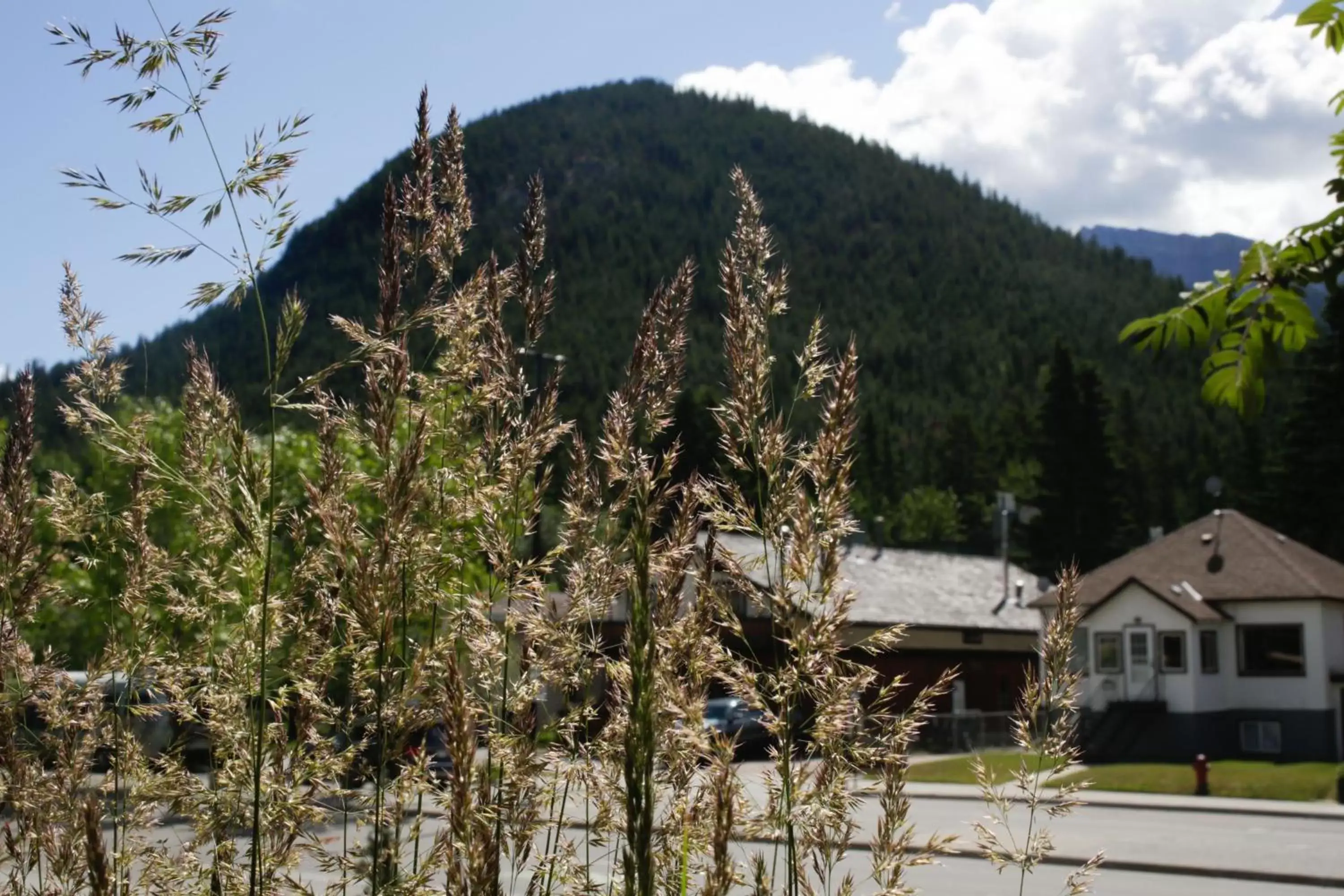 Street view, Mountain View in High Country Inn