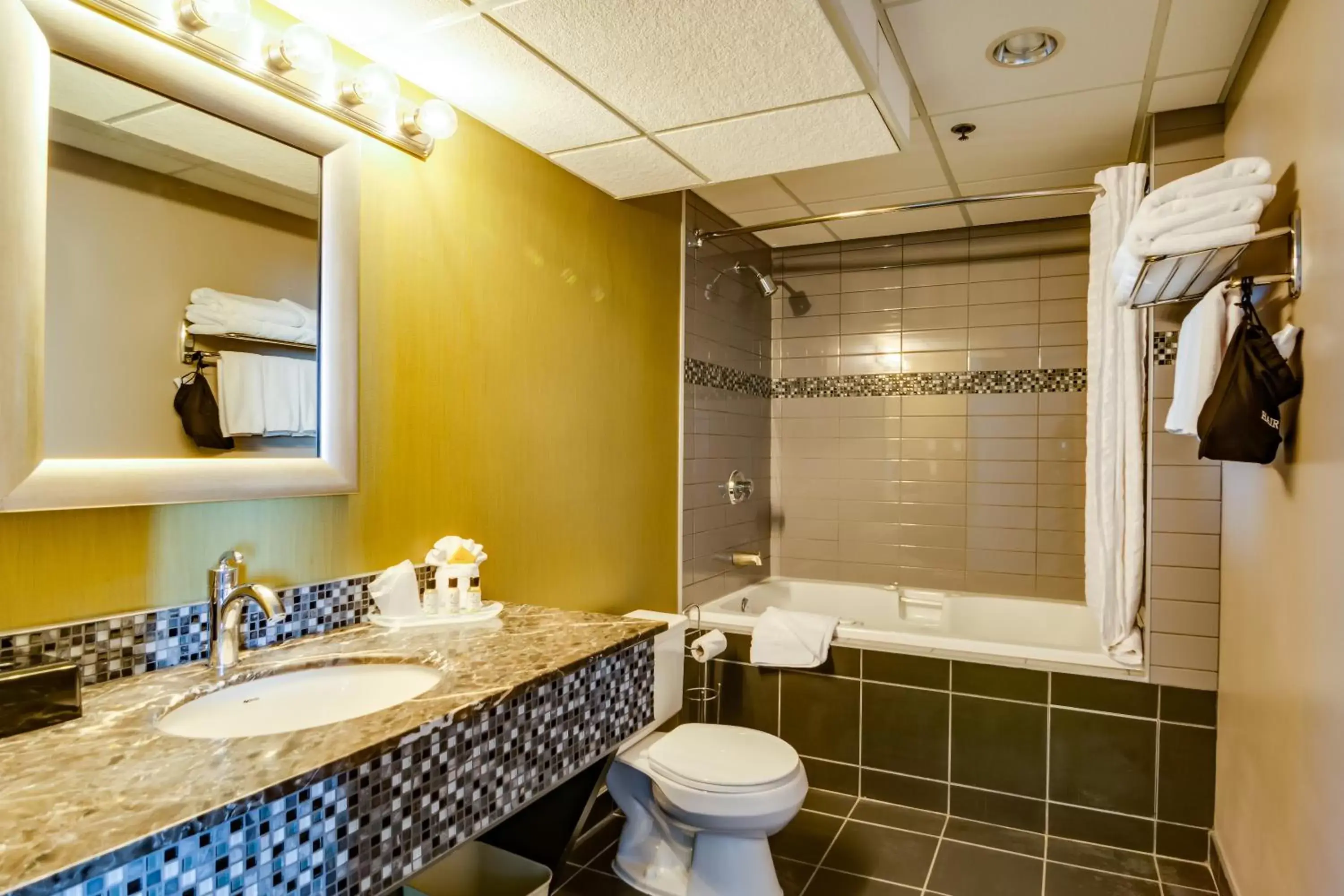 Bathroom in Sawridge Inn and Conference Centre Edmonton South