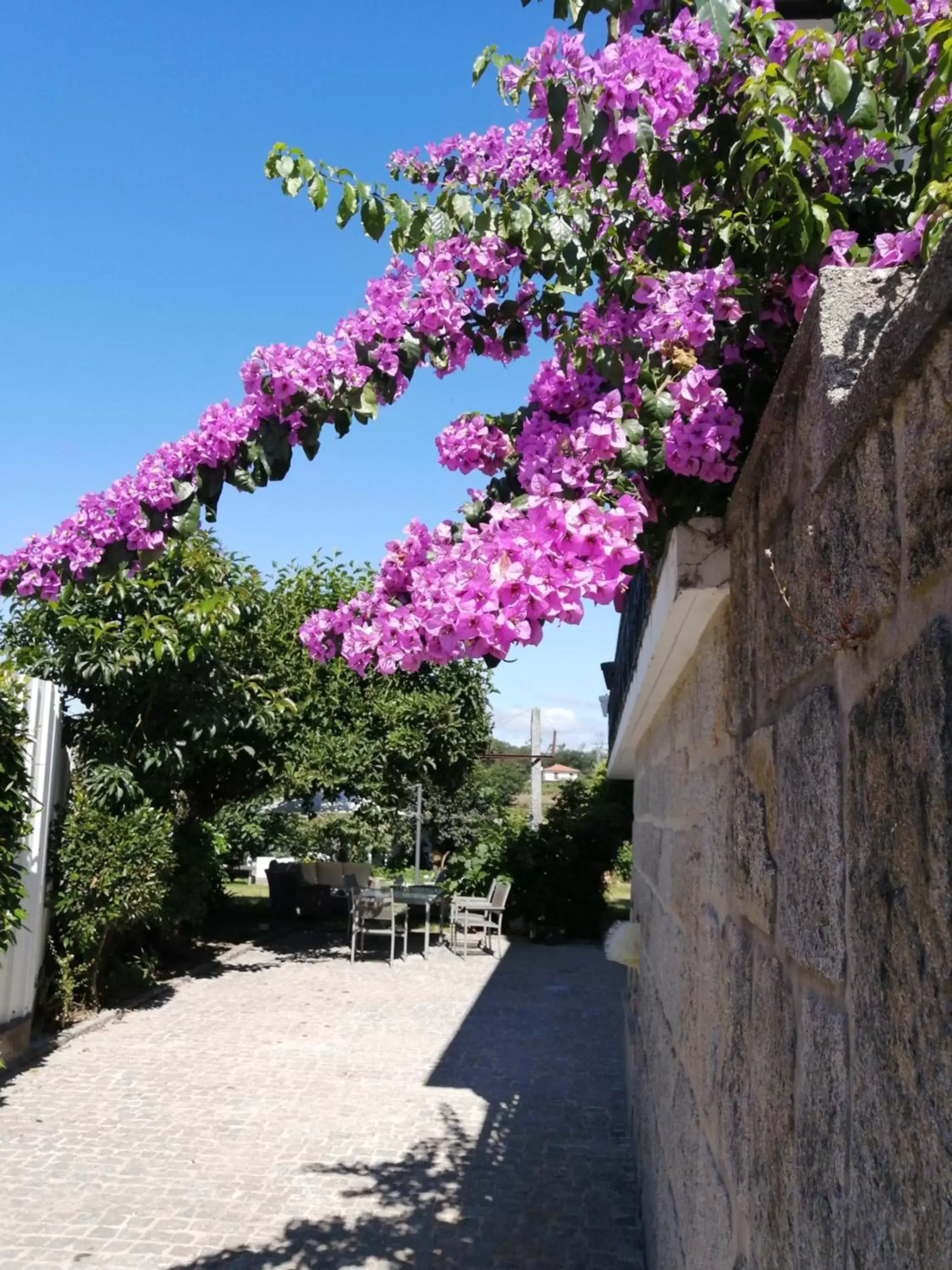 Garden view in B&B Villa Branca Barreiros AL98139