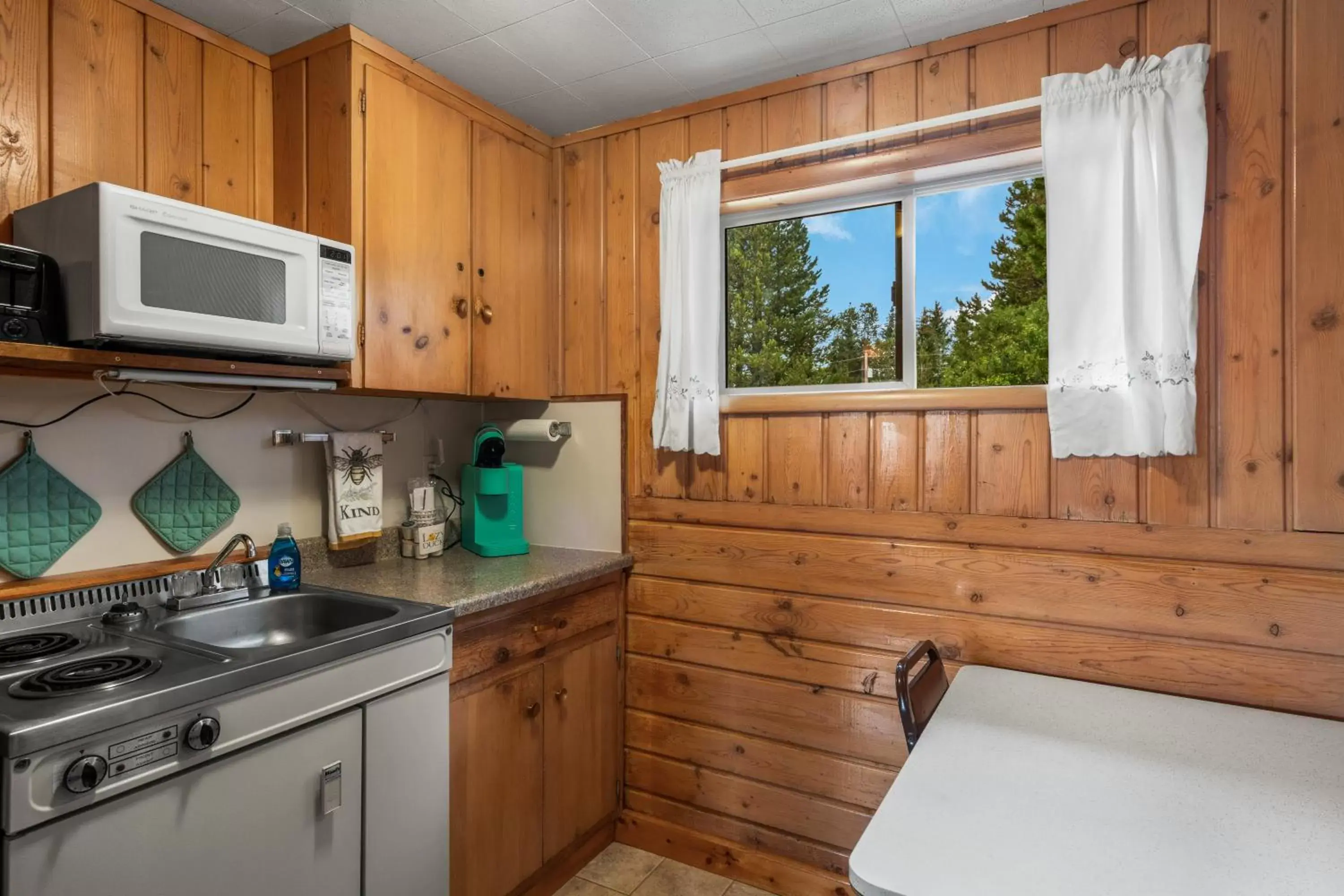 Kitchen or kitchenette, Kitchen/Kitchenette in Lazy Duck Inn