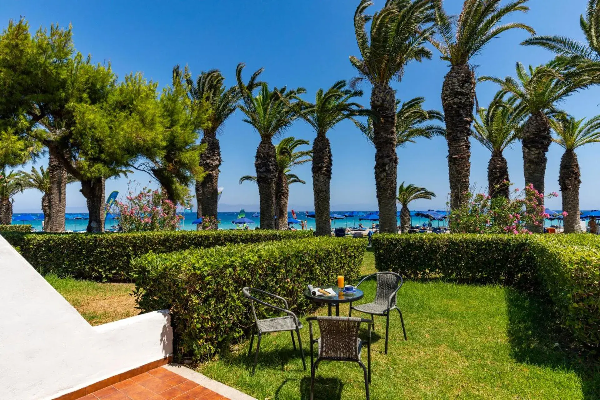 Garden in Blue Horizon