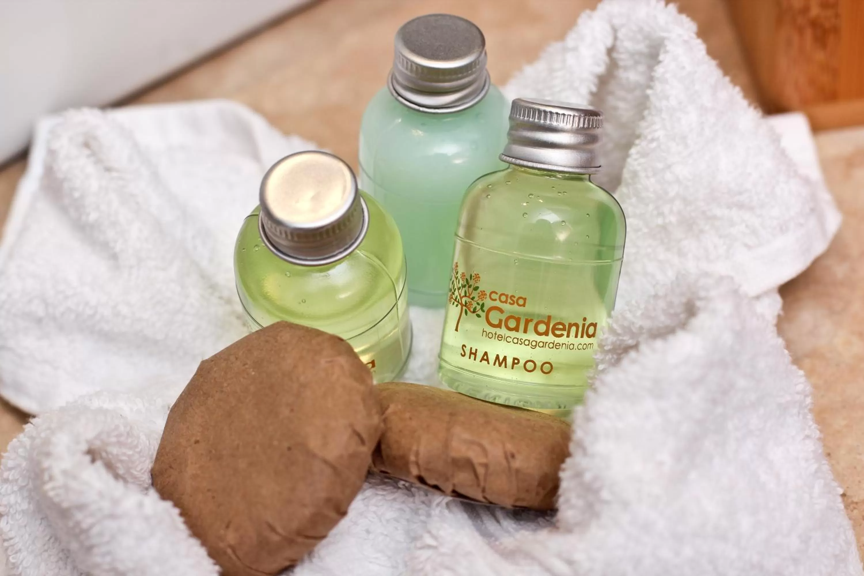 Twin Room with Balcony in Hotel Casa Gardenia