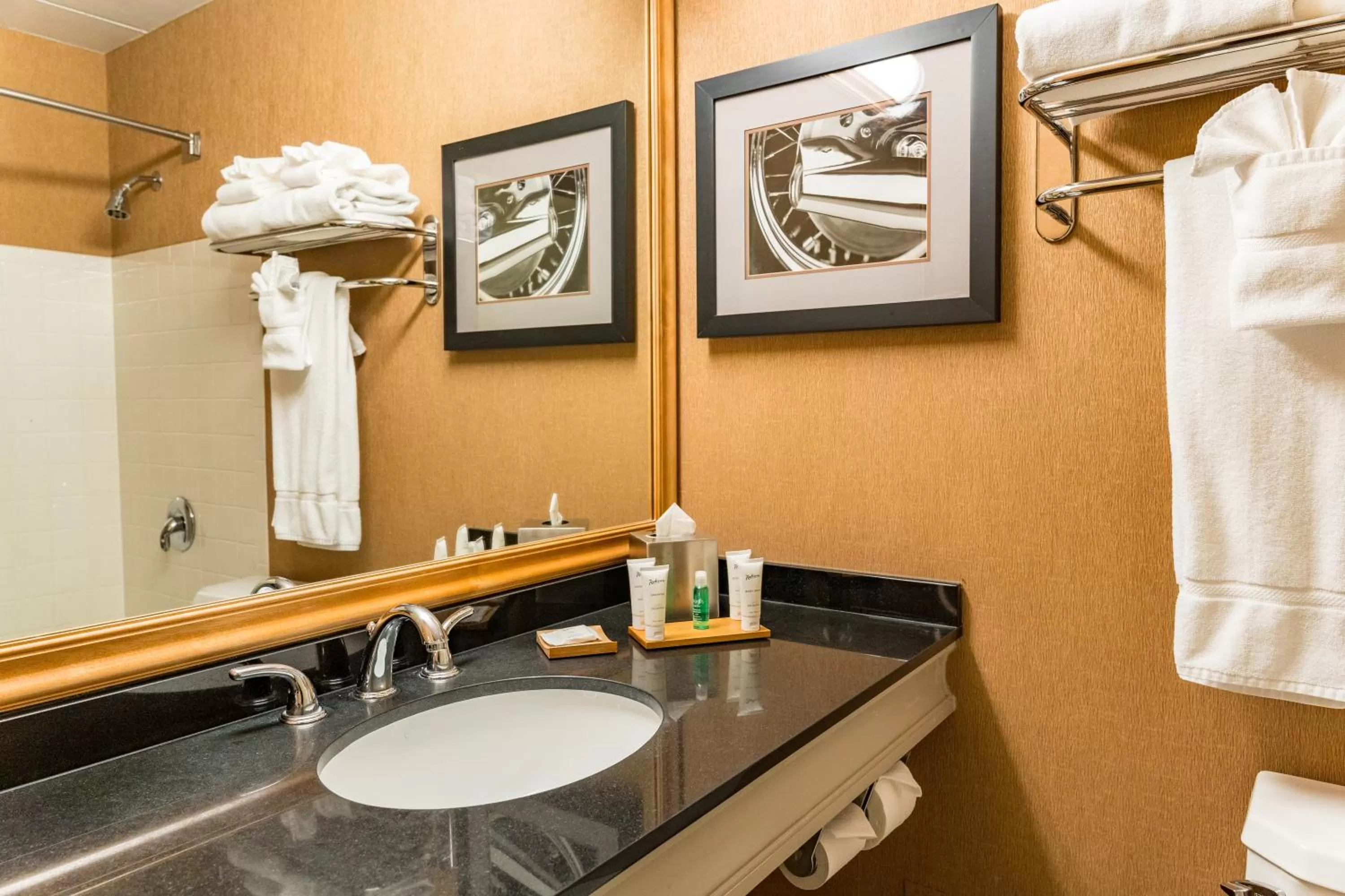 Bathroom in Radisson Hotel Milwaukee West