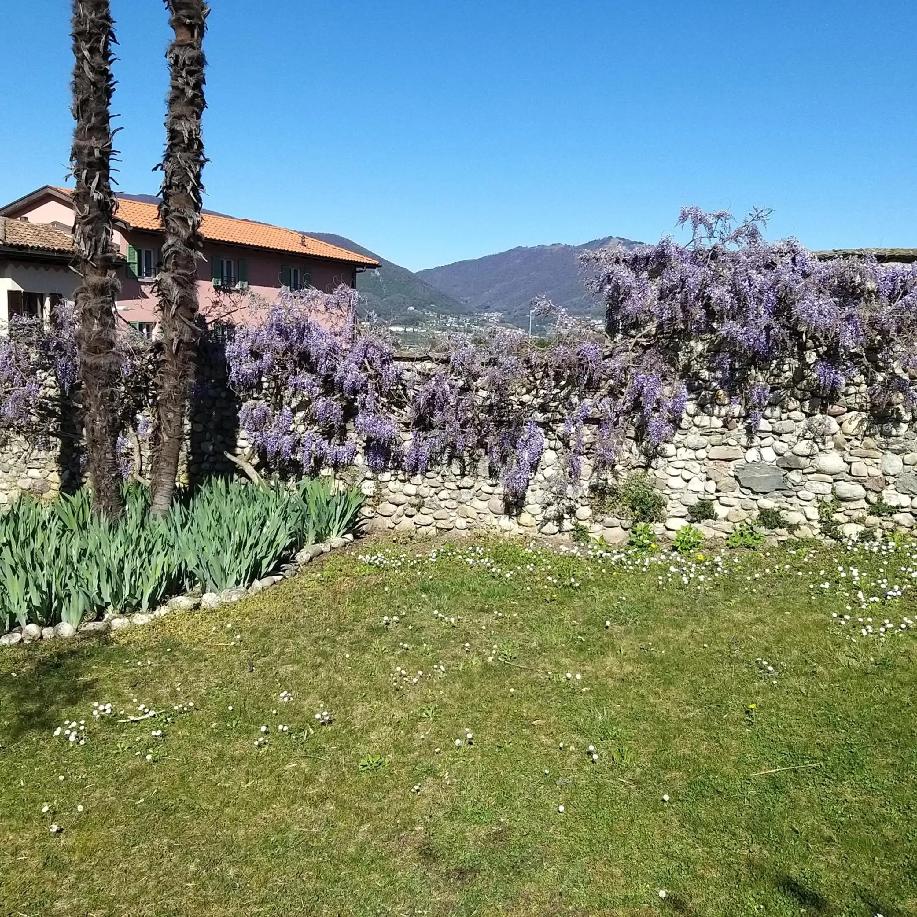 Garden in Castello di Brusata Apartment