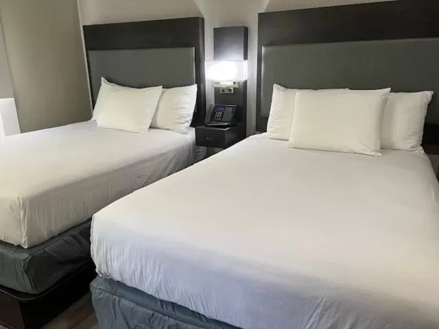 Bedroom, Bed in Super 8 by Wyndham San Francisco/Union Square Area