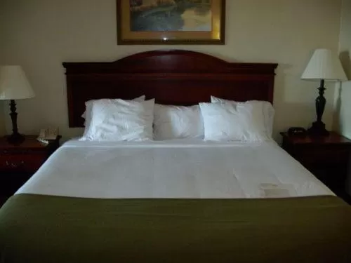 King Room with Bath Tub - Disability Access/Non-Smoking  in Holiday Inn Express Hotel & Suites Laurinburg, an IHG Hotel