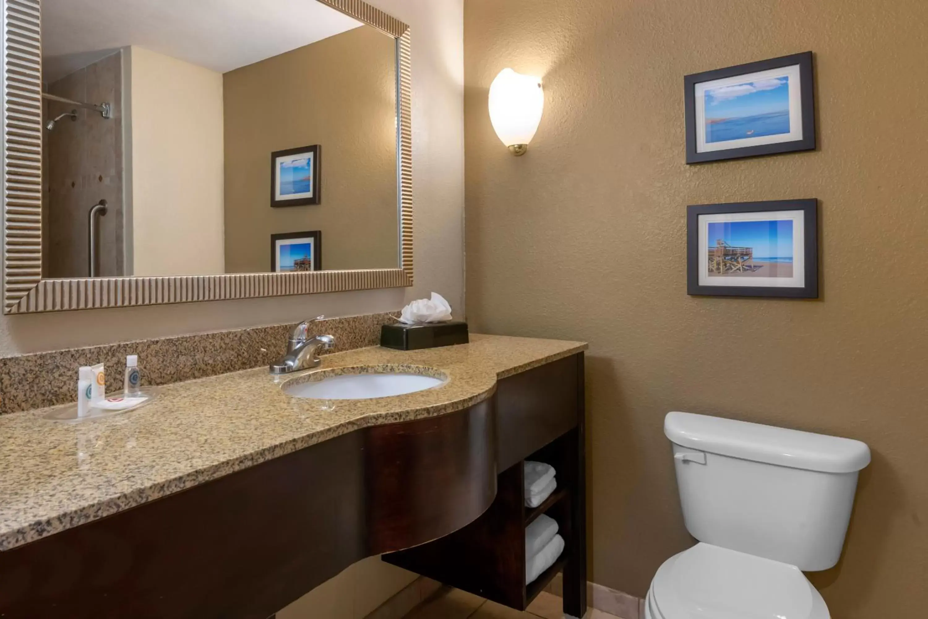 Bathroom in Comfort Suites West Jacksonville