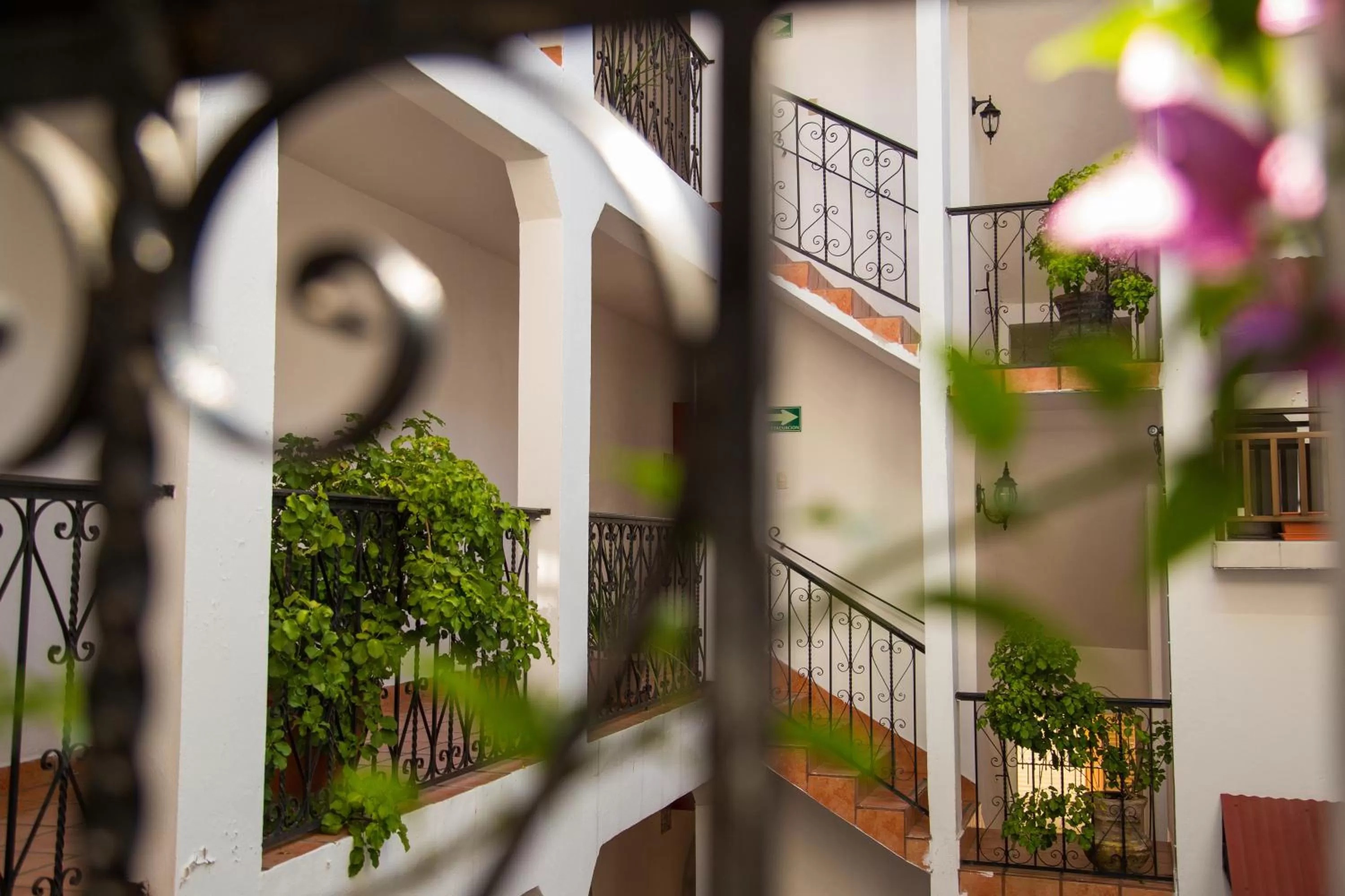 Day, Balcony/Terrace in Posada Kin