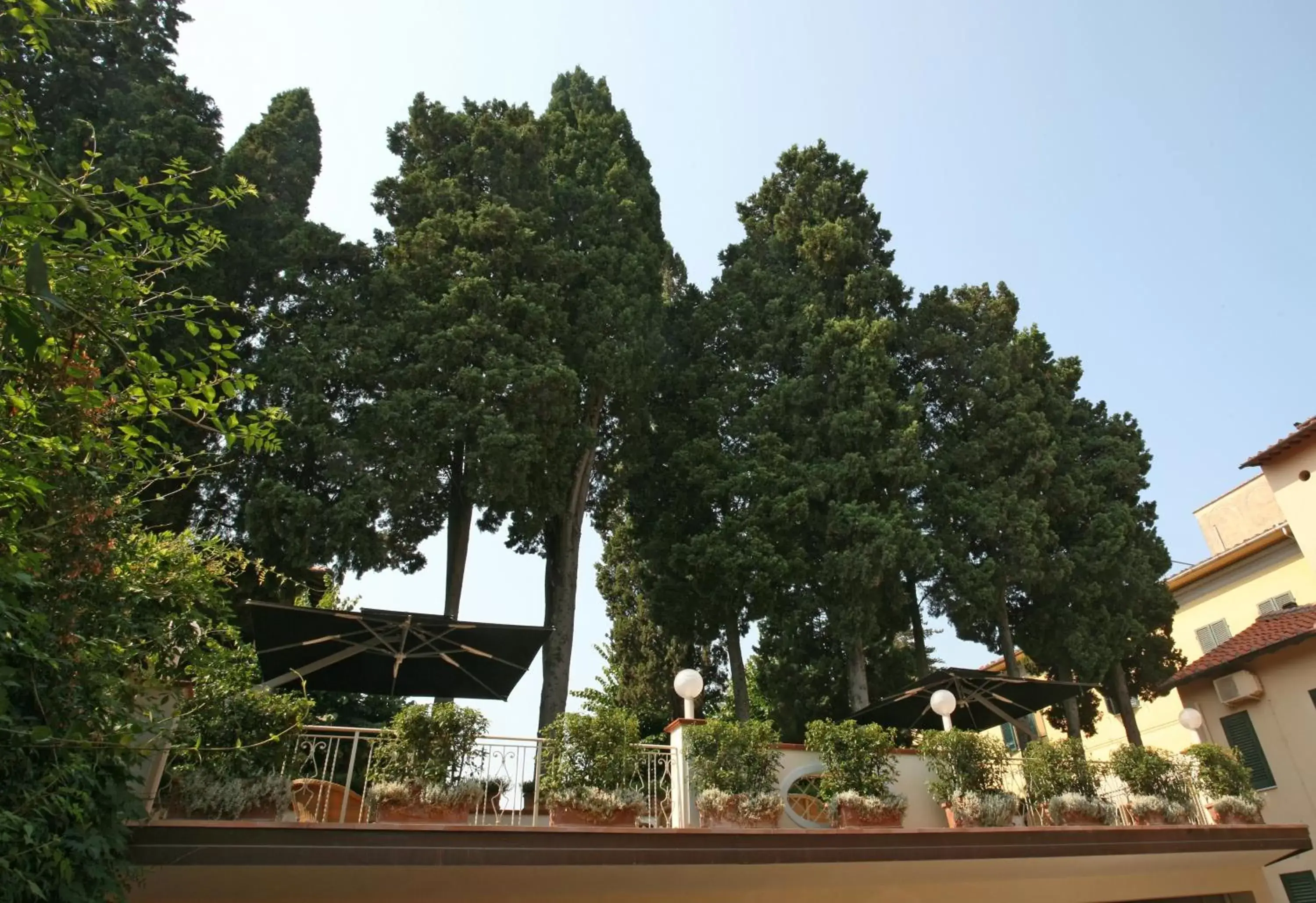 Balcony/Terrace in Hotel Bologna