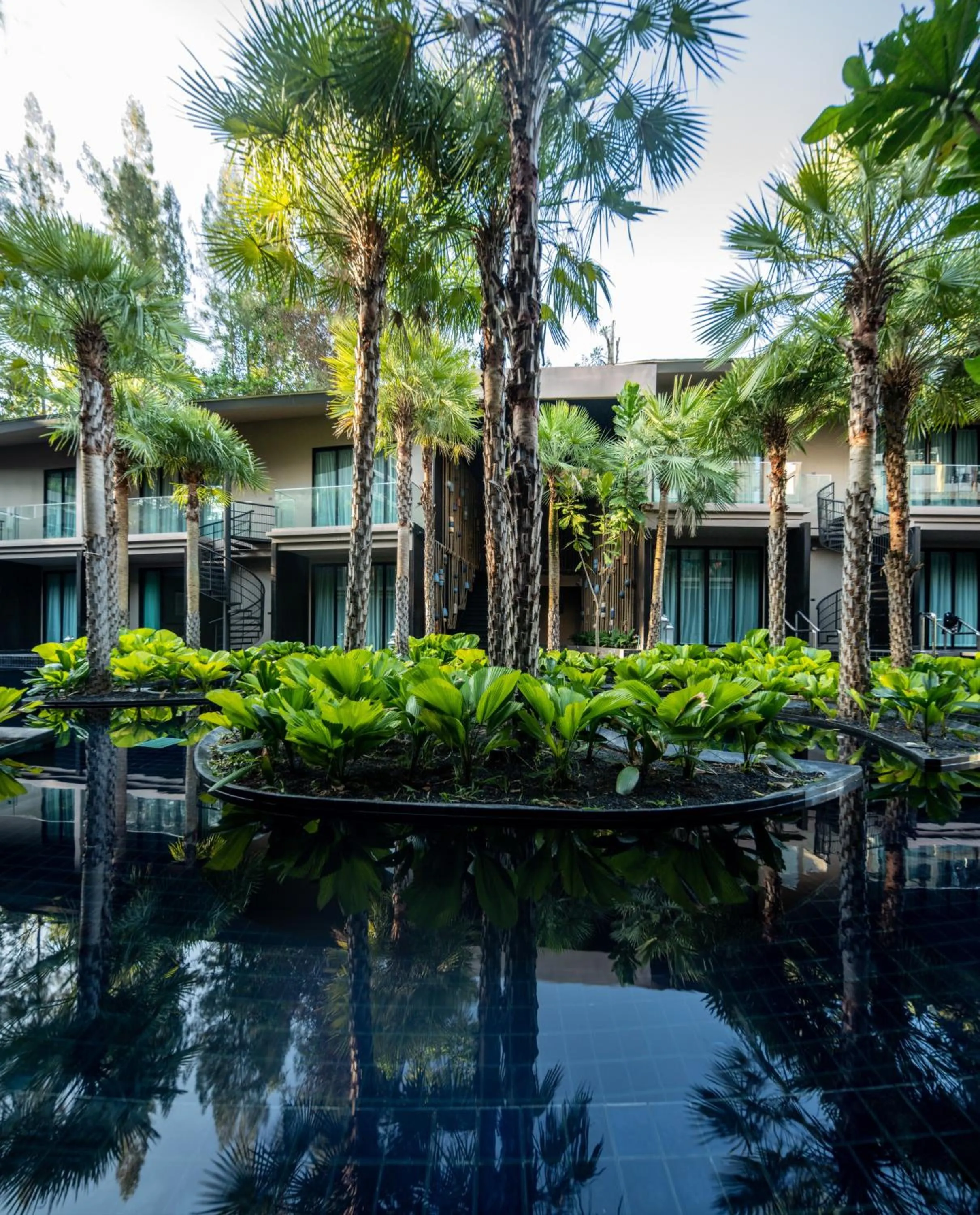 View (from property/room) in Areca Resort and Spa